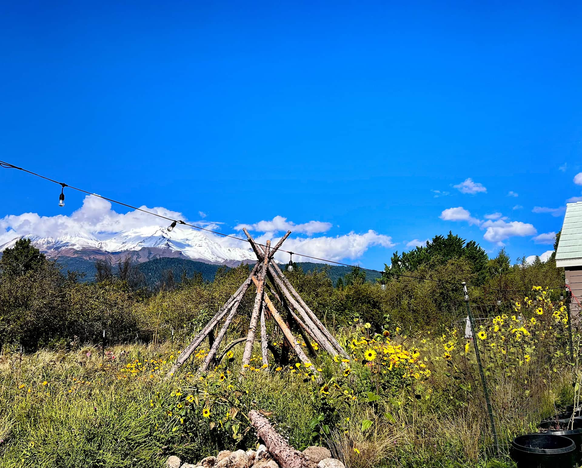Shasta Gardens