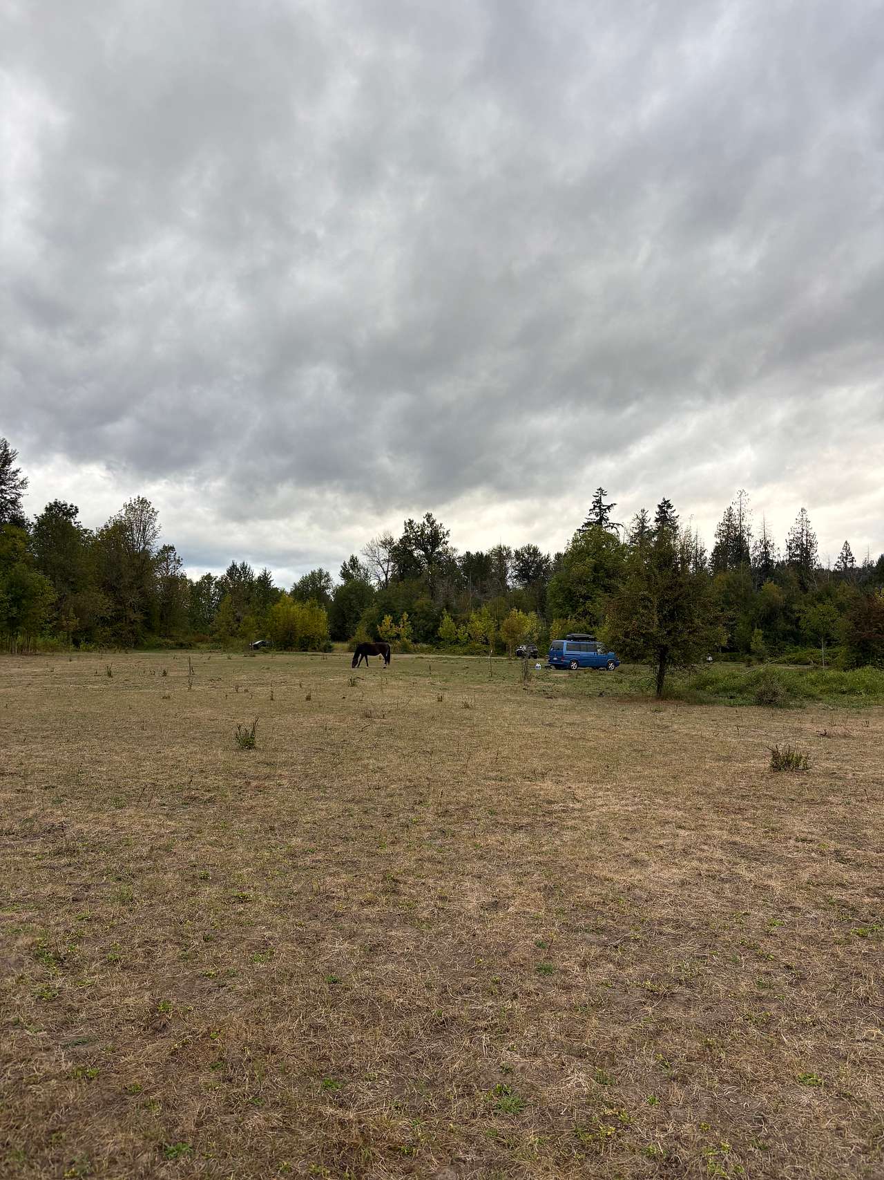 Elysian Retreat