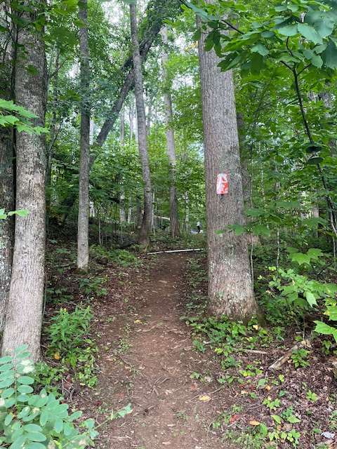 The path up to the tent site.