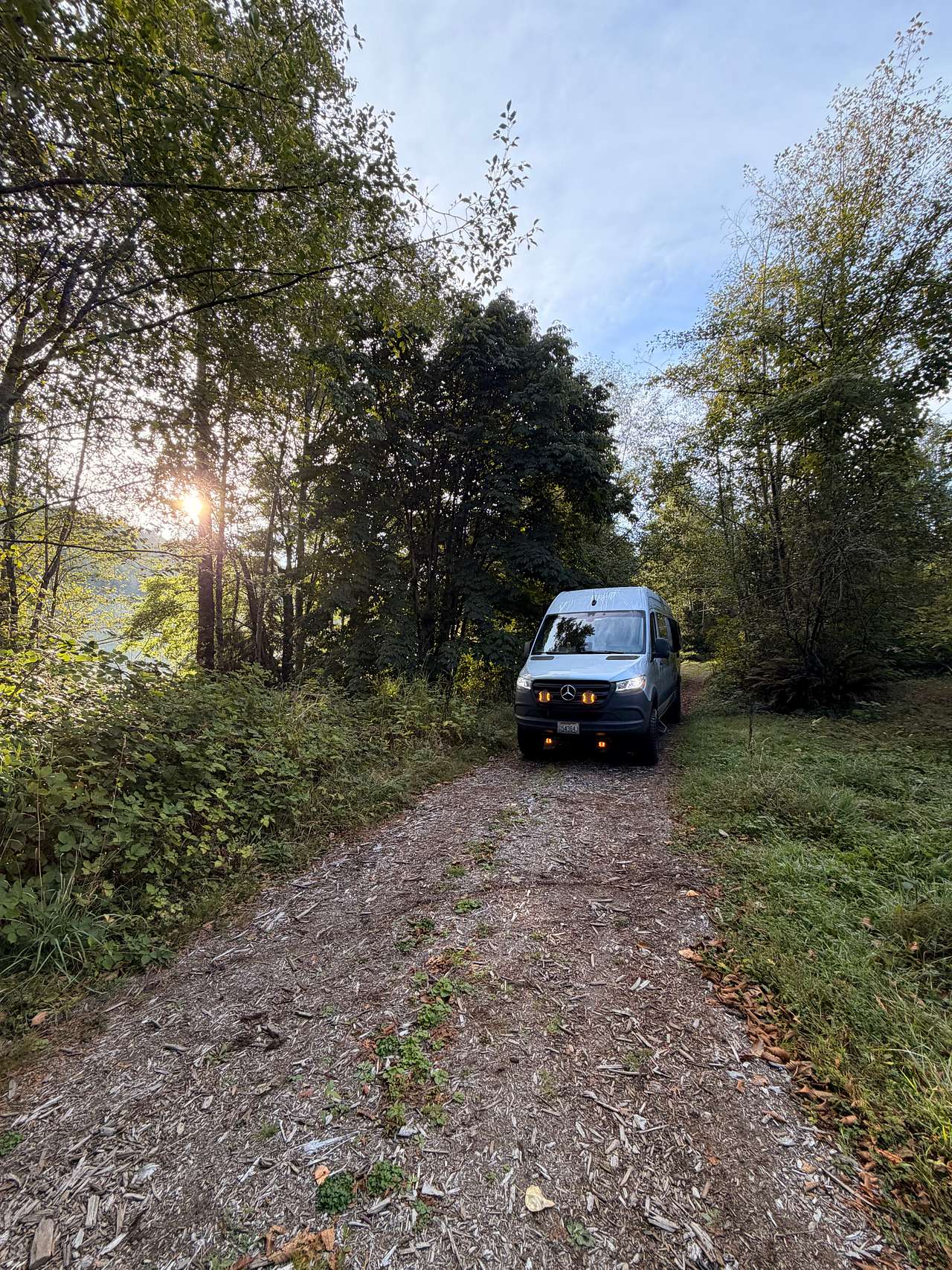 Picture of the site