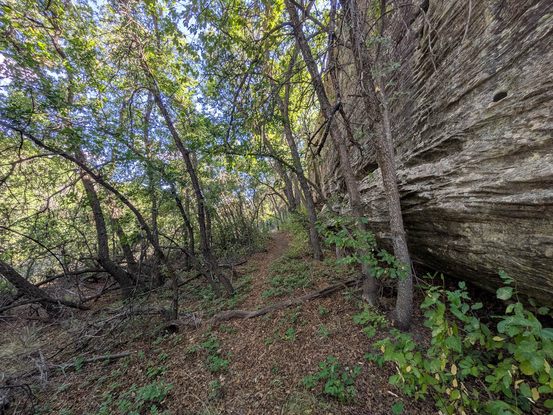 Trail view