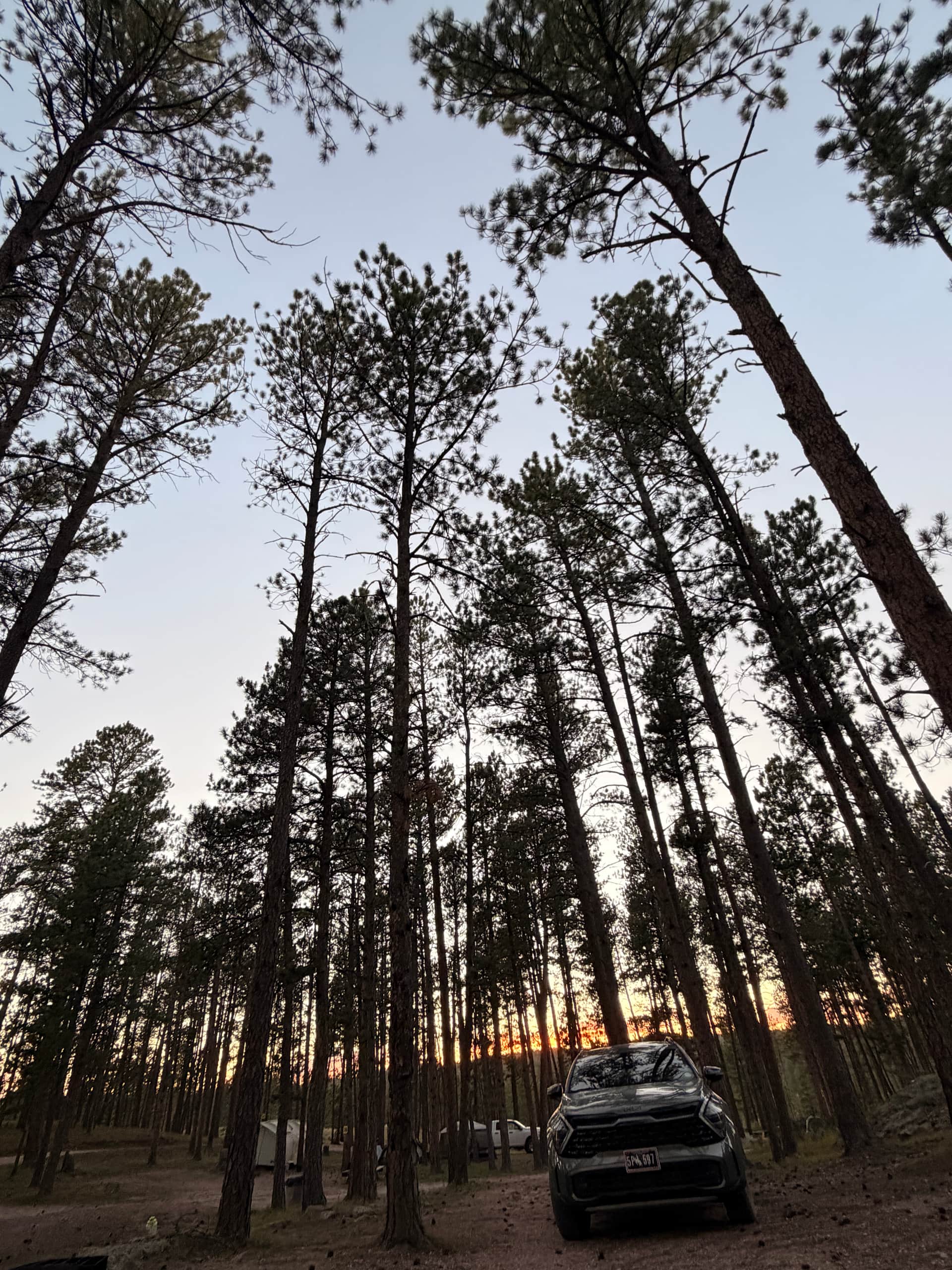 Big Pine Campground