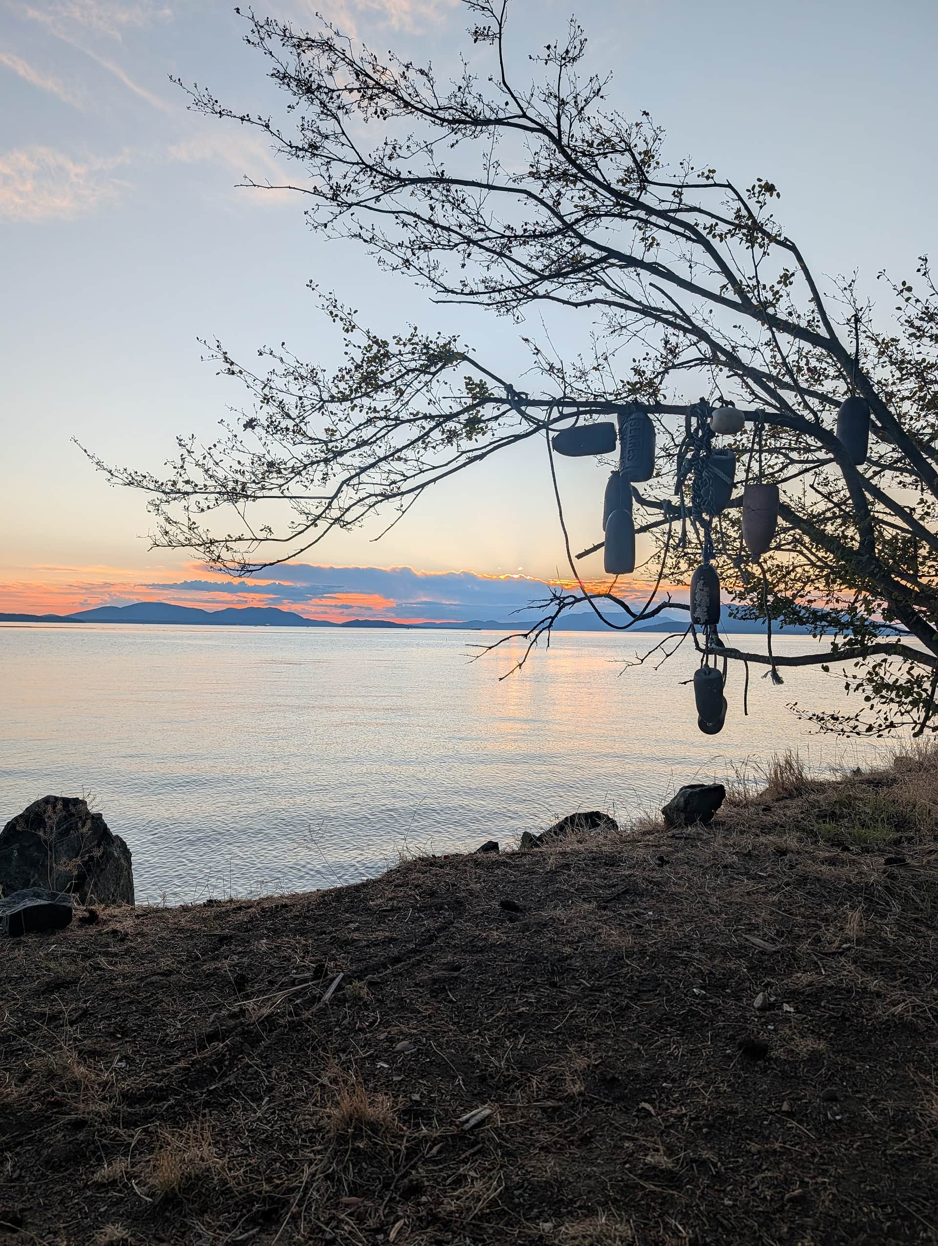 Beautiful sunset