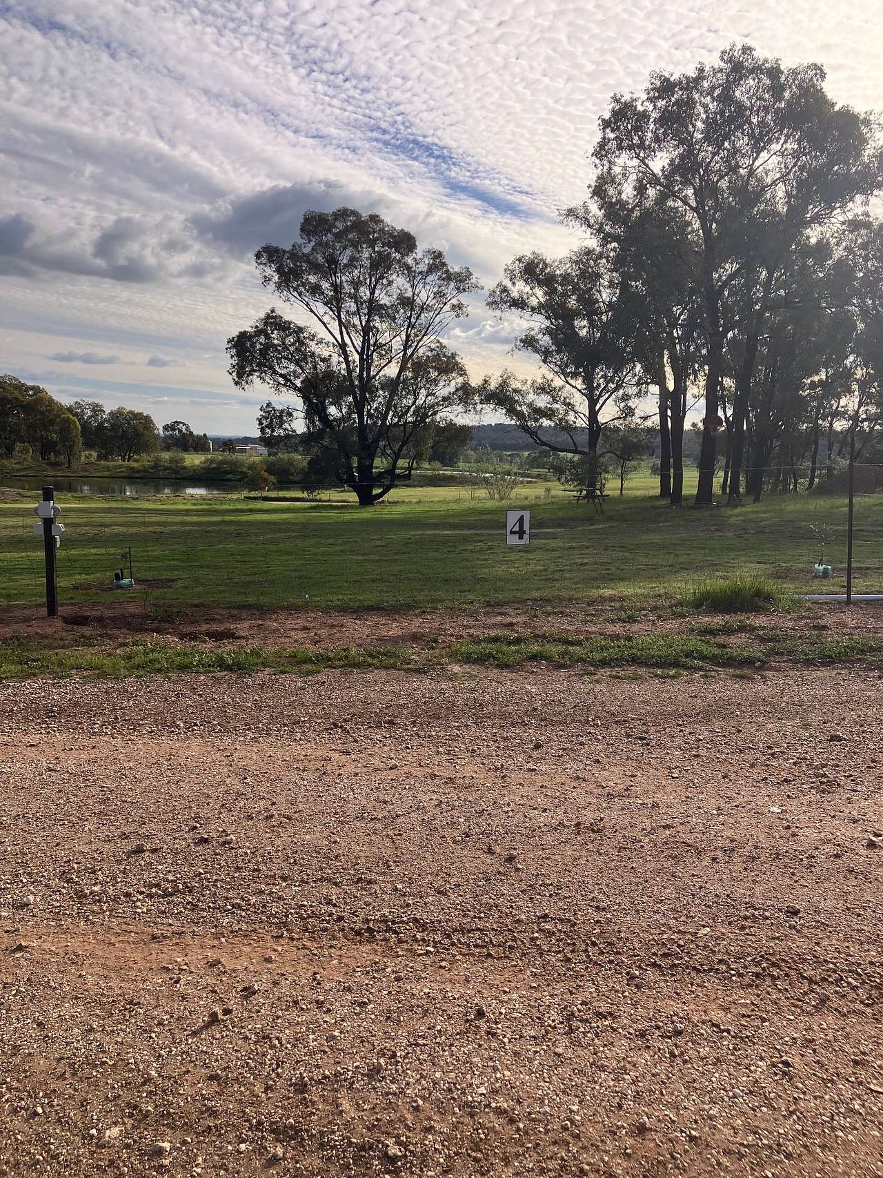 Picture of the site