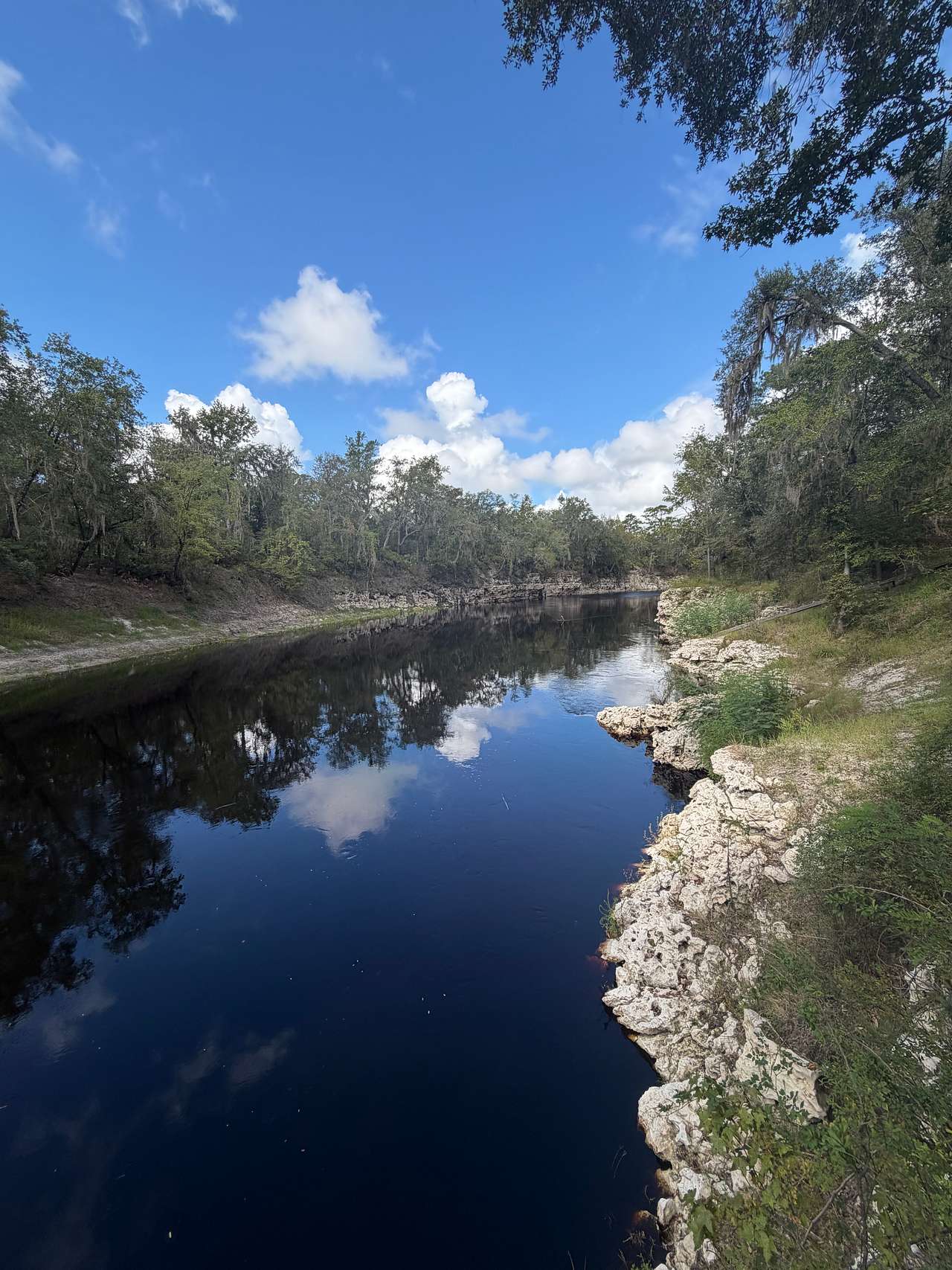 Suwannee River Glamping