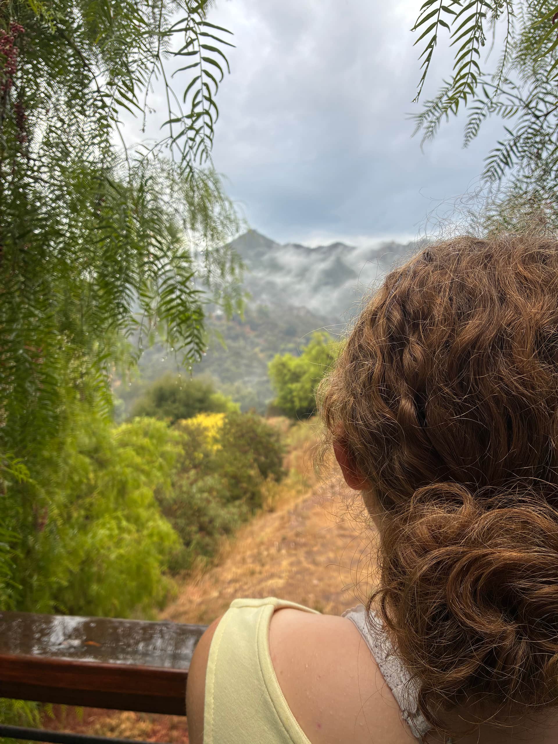View from the porch