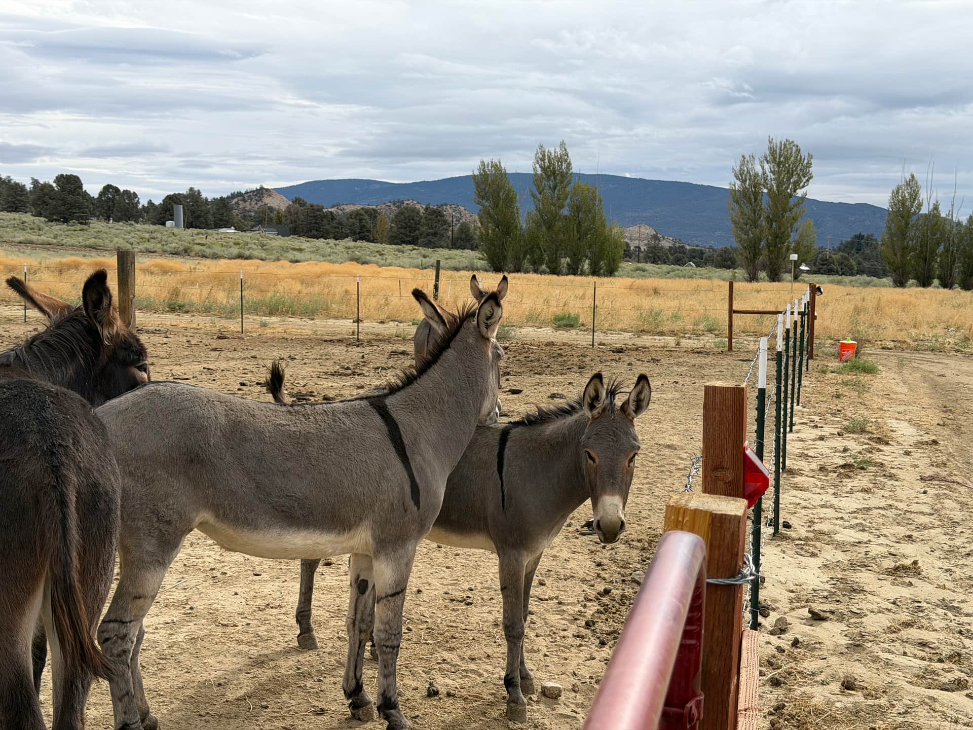 North Fork Ranch (Horses Welcome)