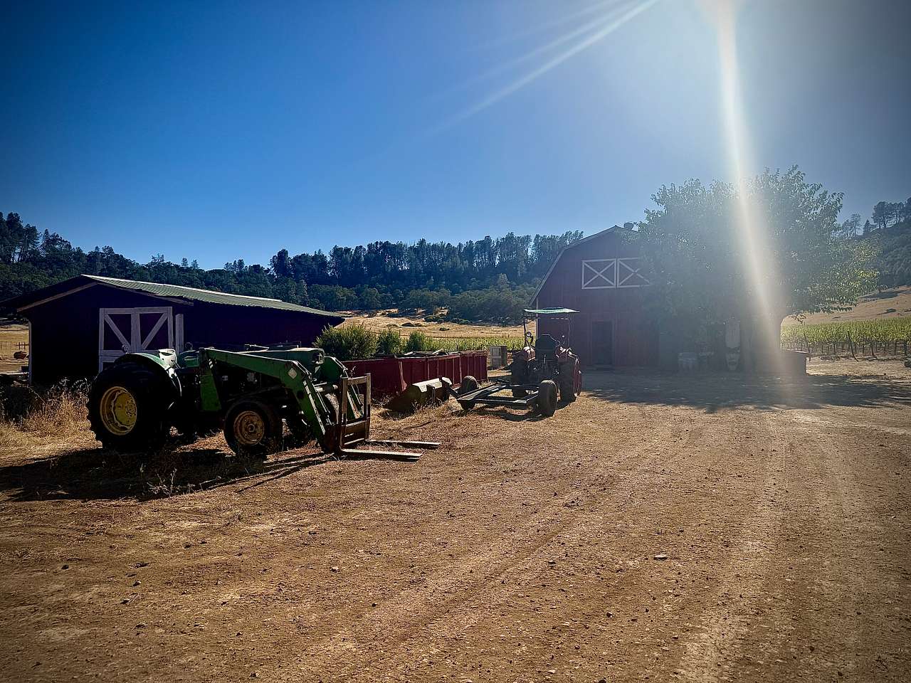 Vineyard Camping at Bad Rat Ranch