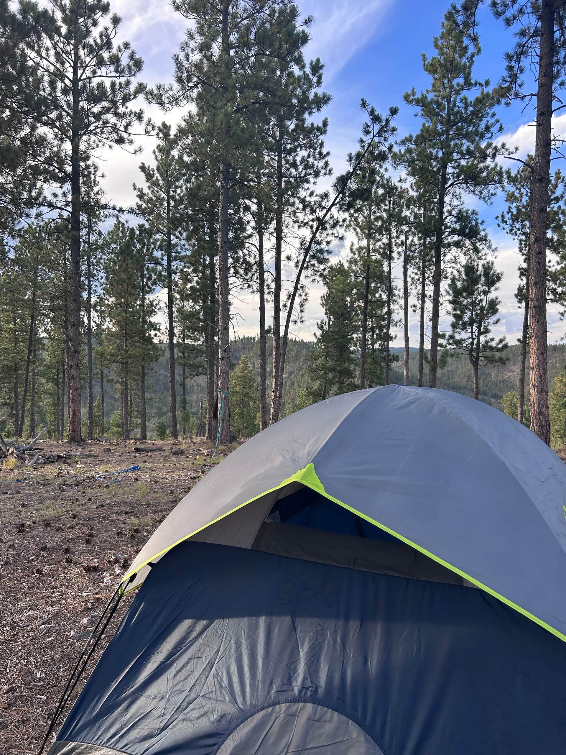 The Wilderness