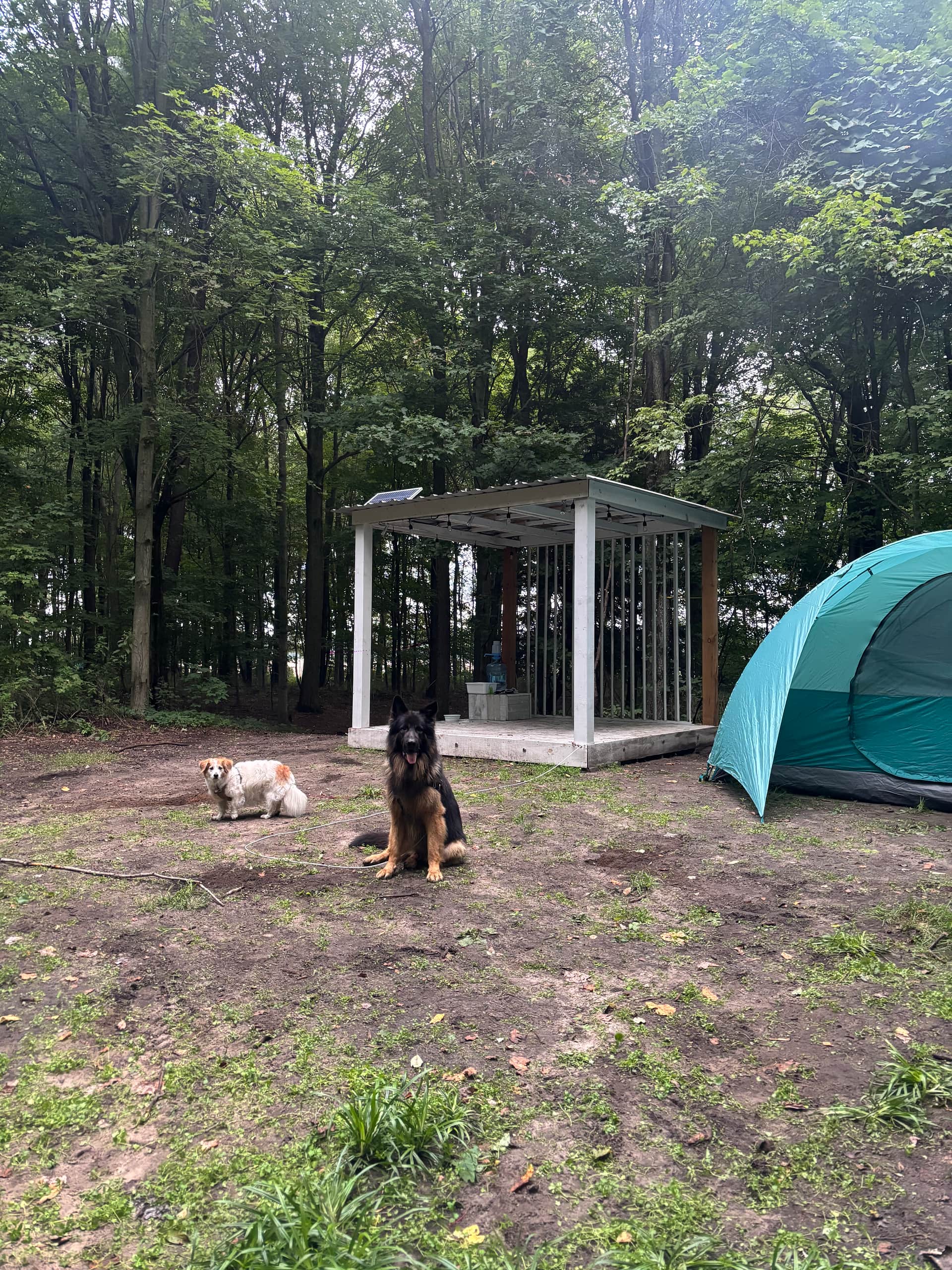 Spring Arbour Magic Forest &Trails!