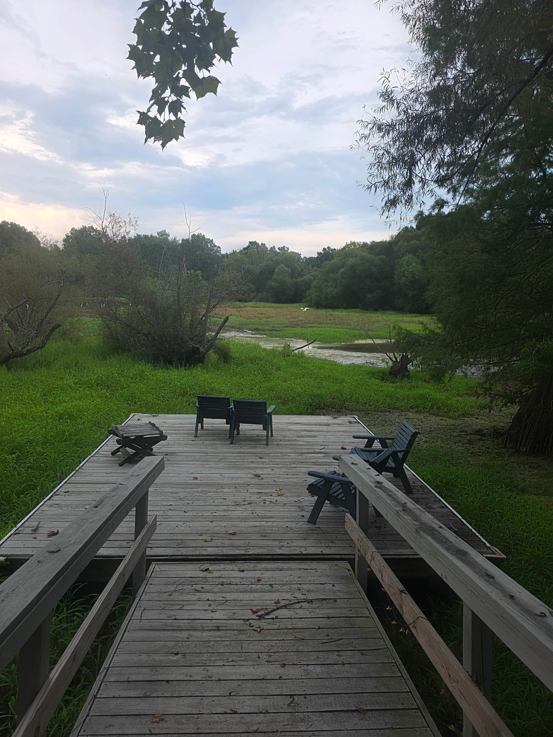 The Dancing Pig On Abbotts Creek
