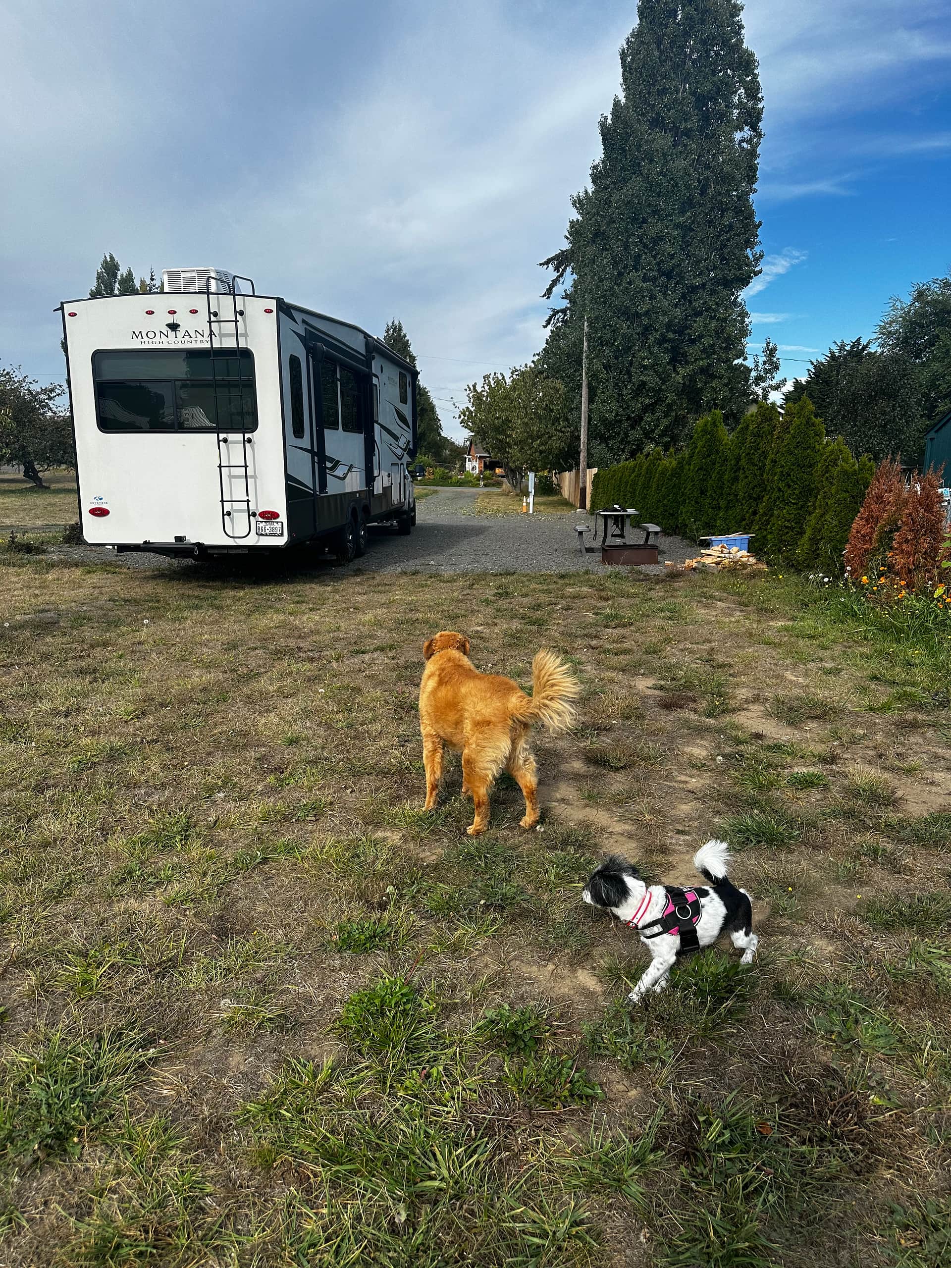 Harmony’s Retreat- Mountain View
