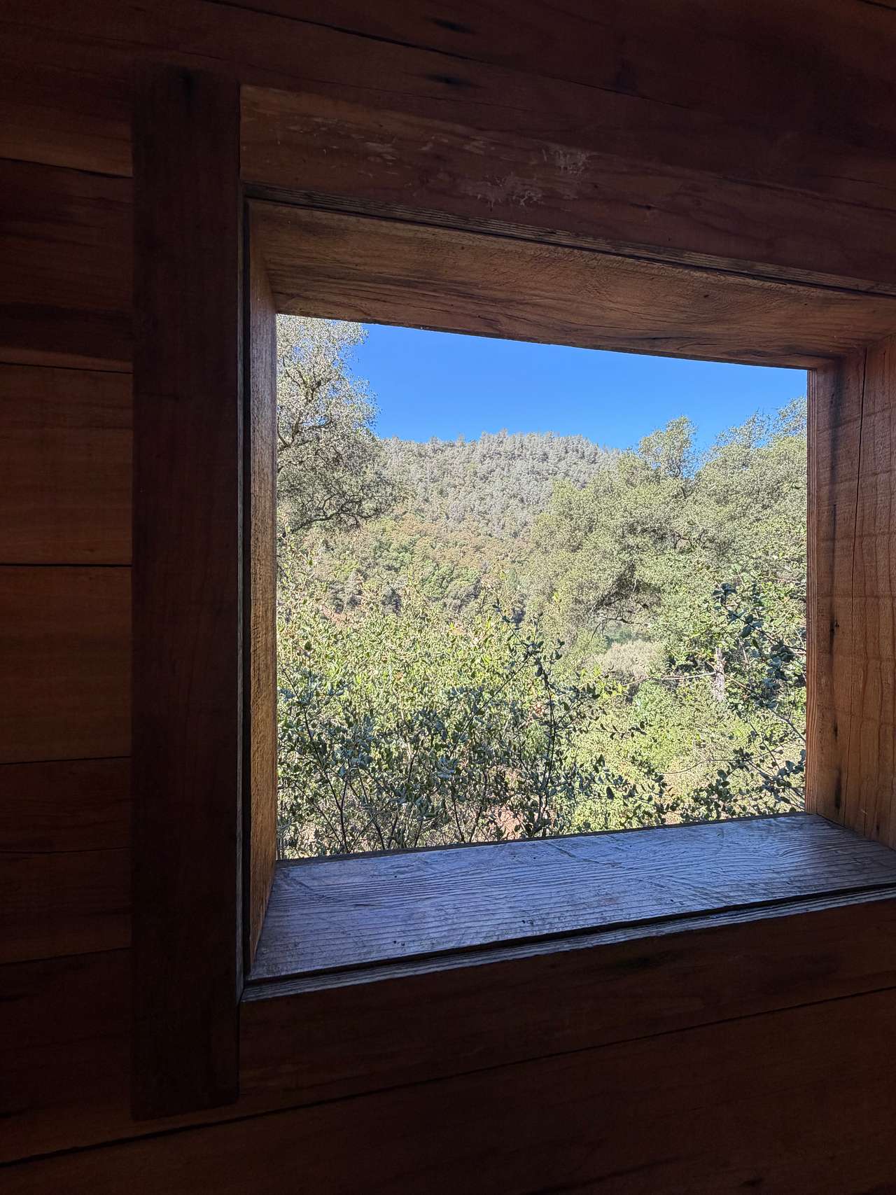 Camp Wildlands Yuba