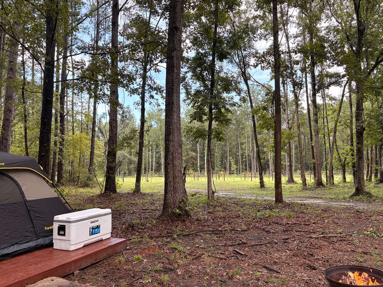 Picture of the site