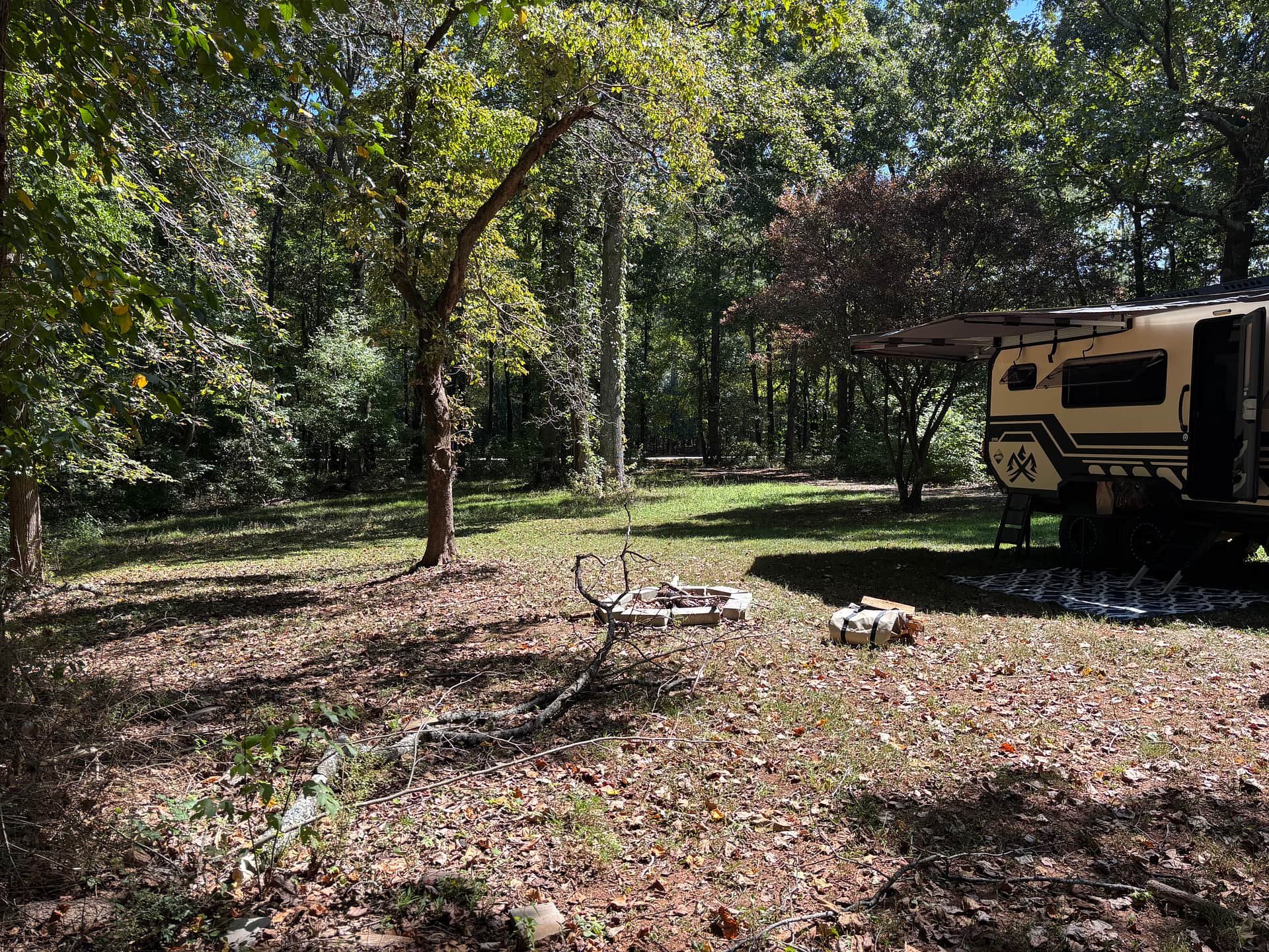 In The Woods