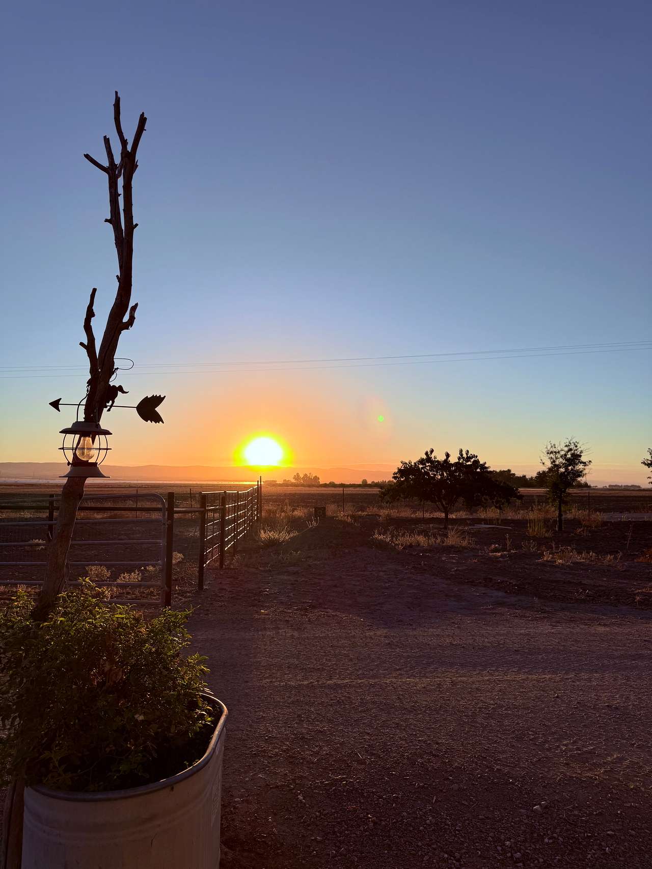 Grand sunrisings 