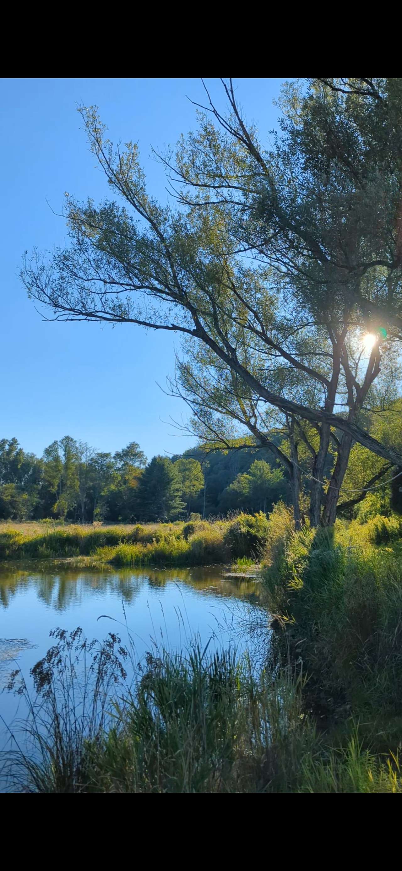 Tempest Ranch camp
