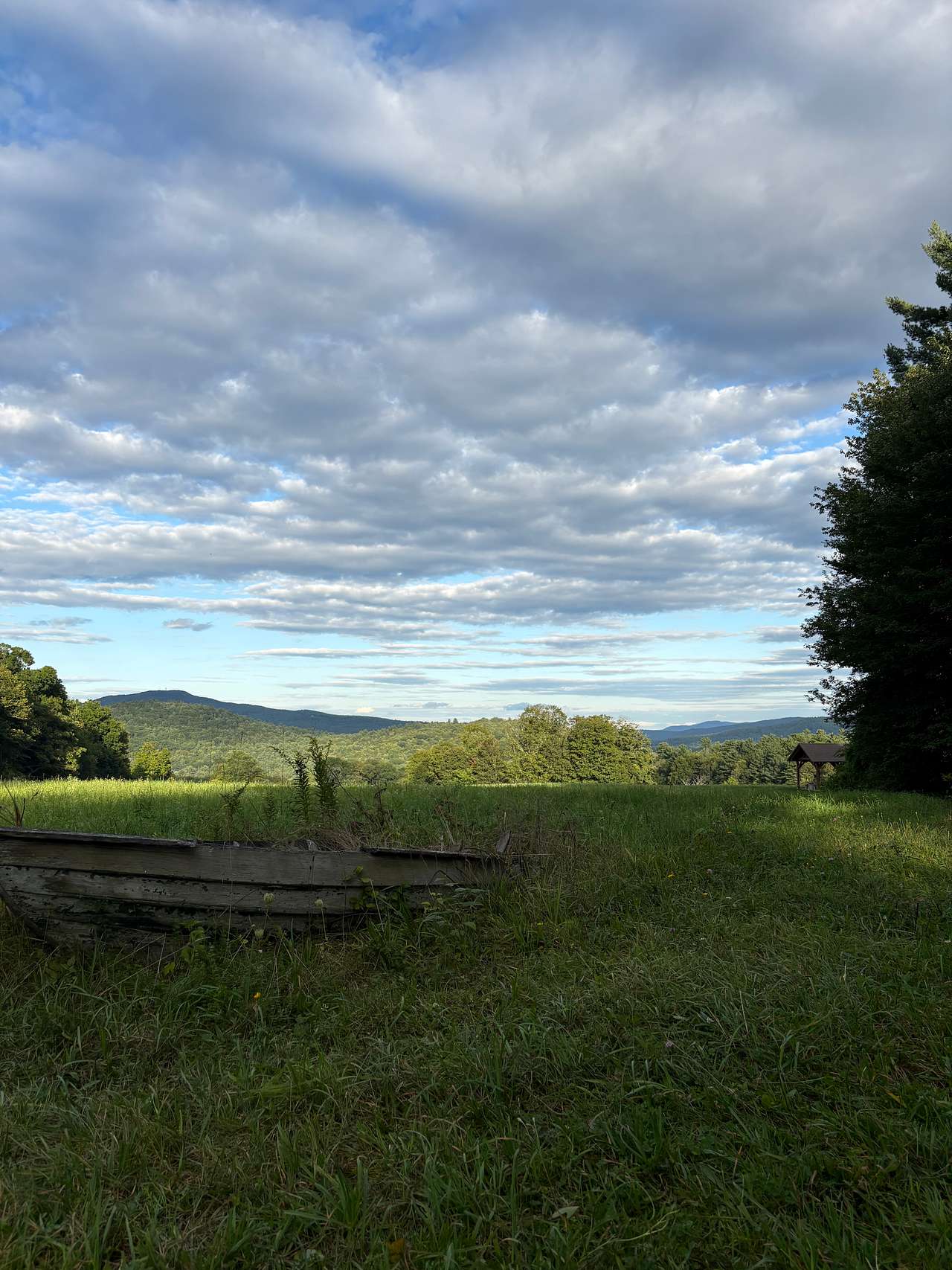 Dancing Bear Farm