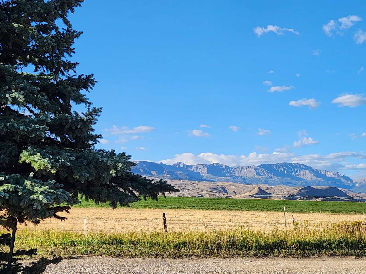 Carter Mountain View