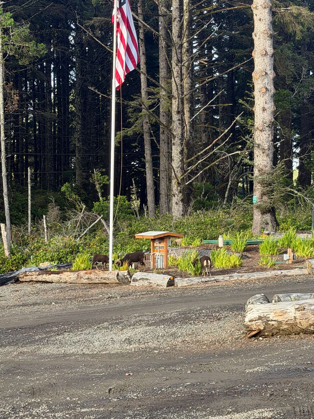 Beach Bound RV Park