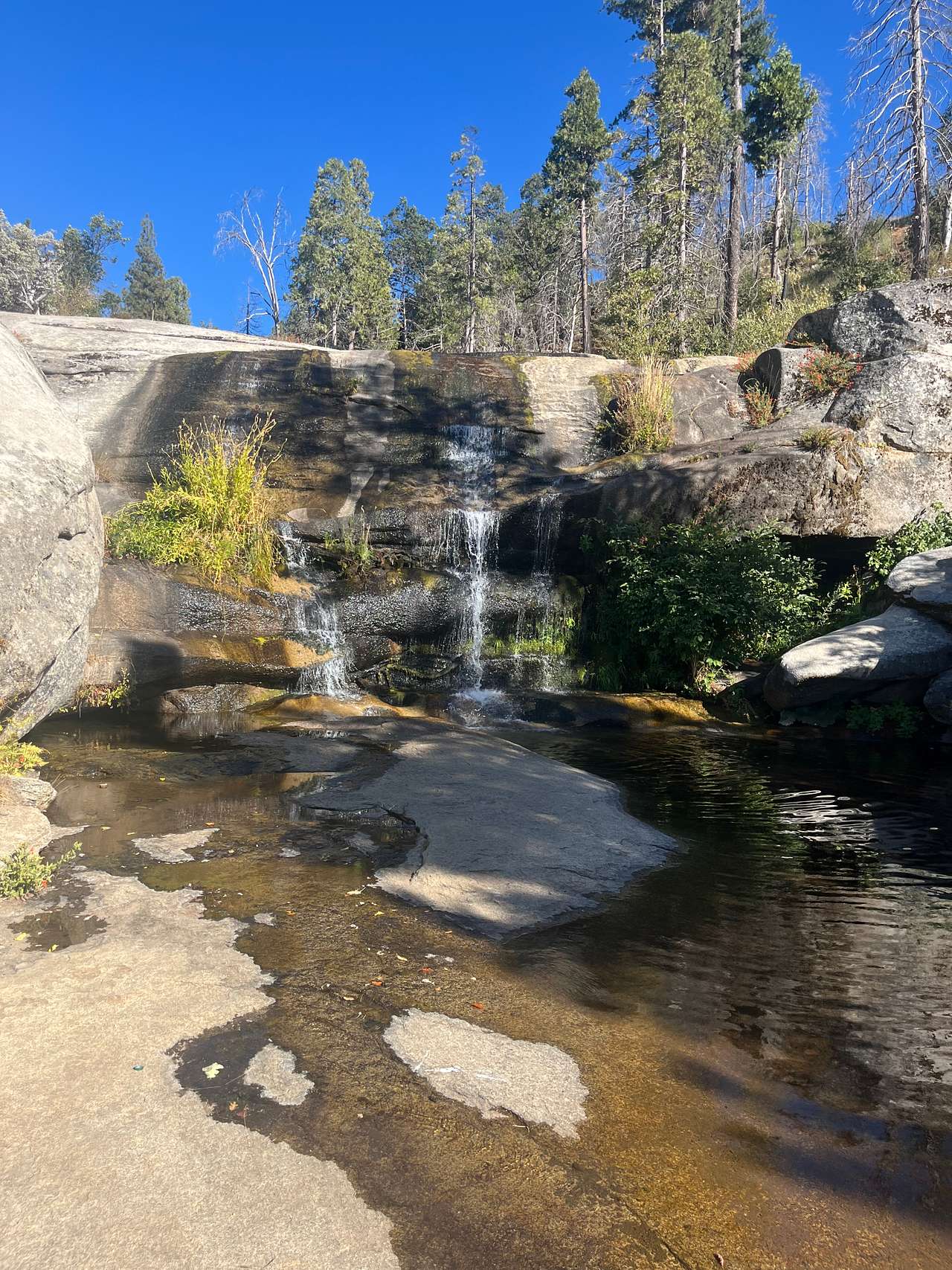 Musick Creek Falls  by Shaver Lake