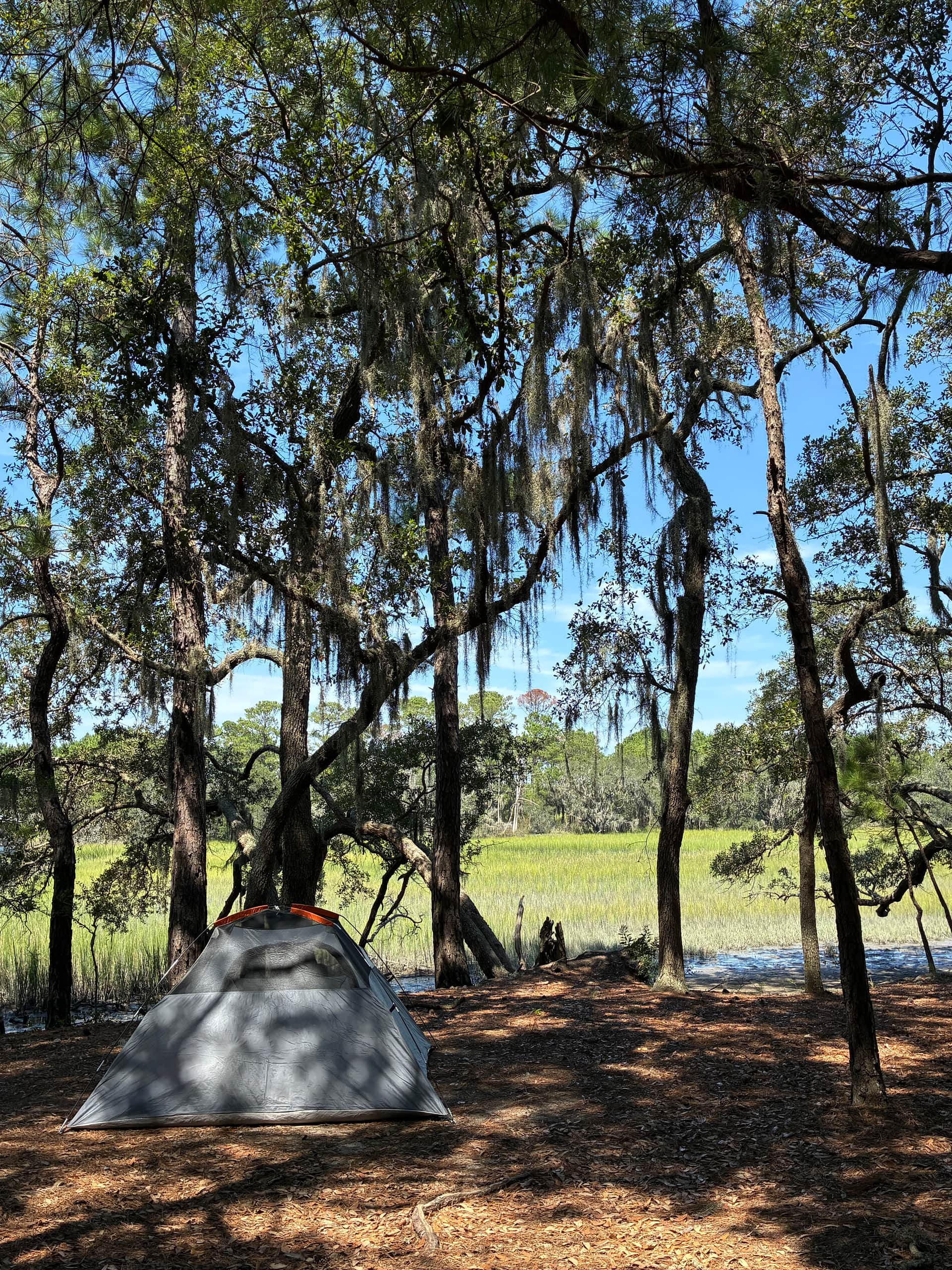 Hanscombe Point Plantation