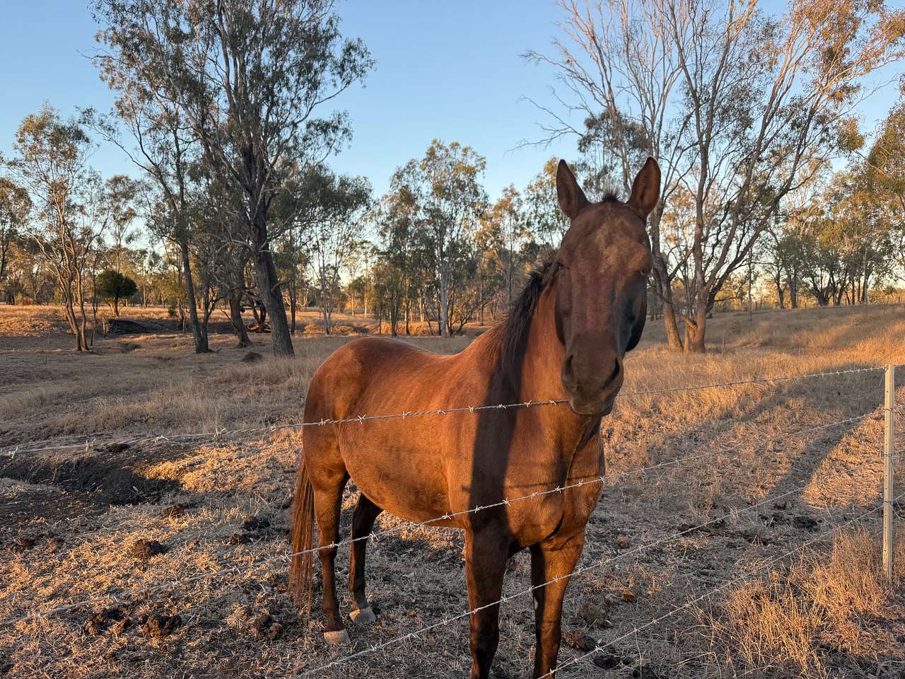 Bullando Farm Stay