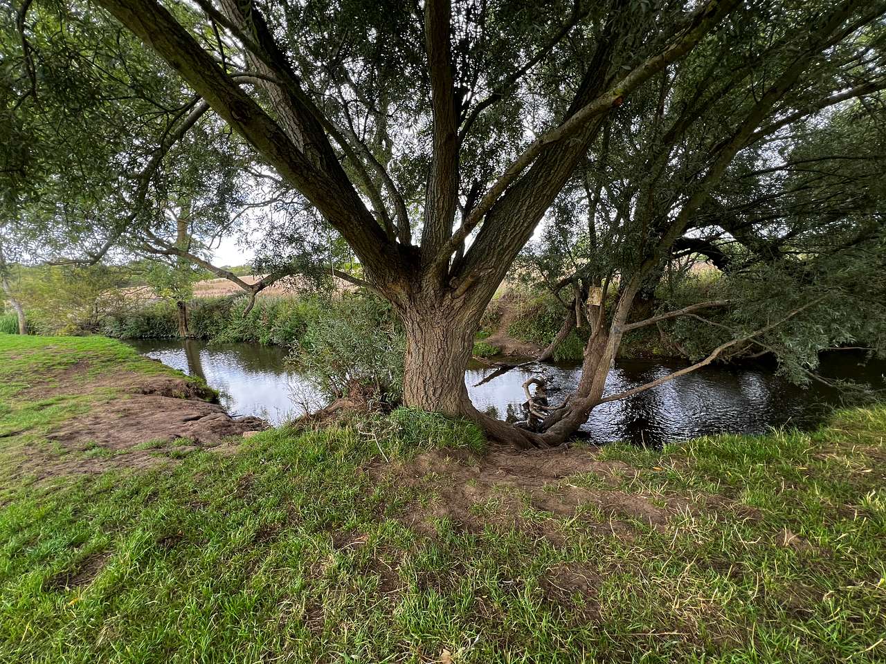 Plenty of shade from the sun by the river