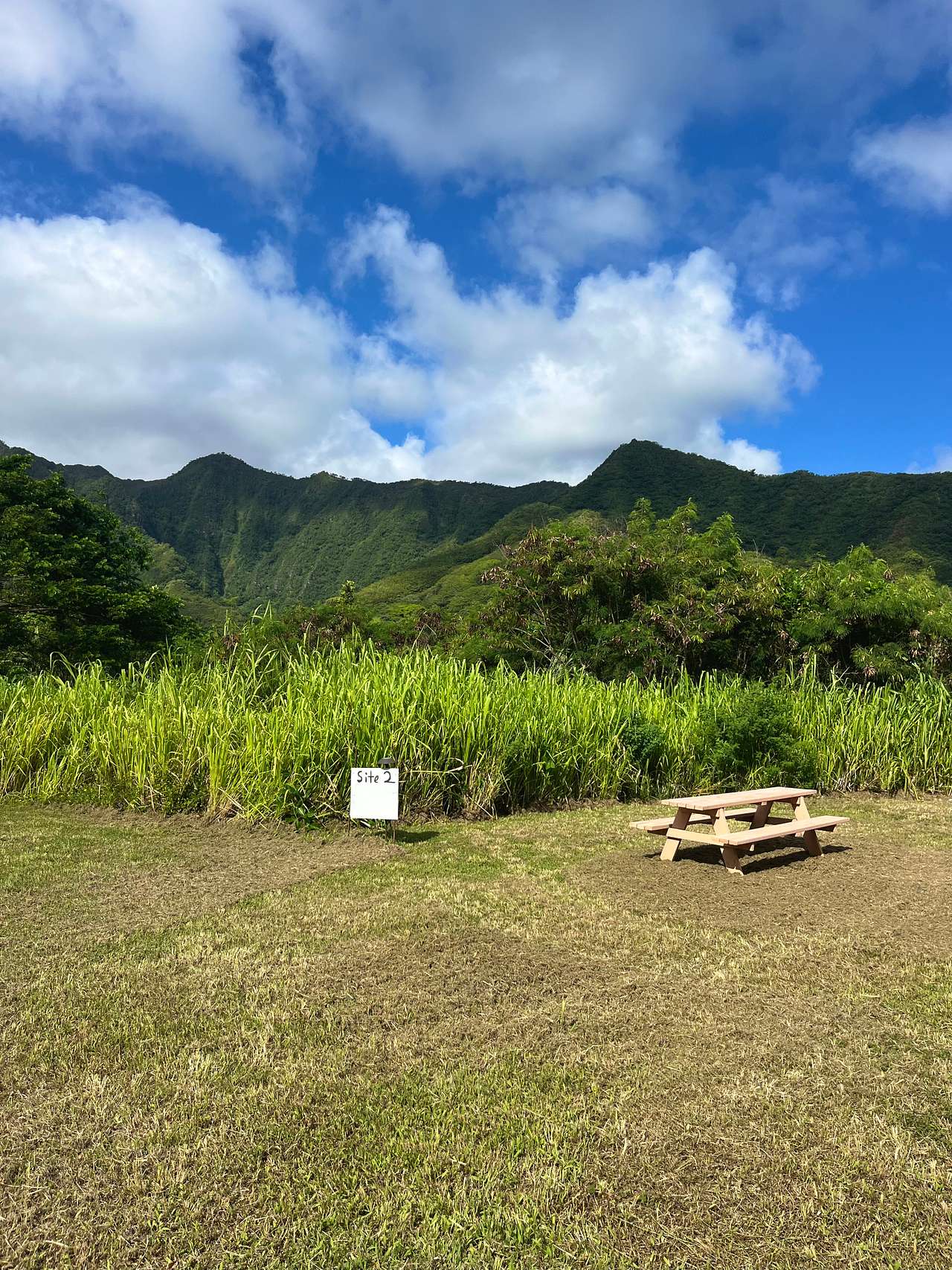 Picture of the site