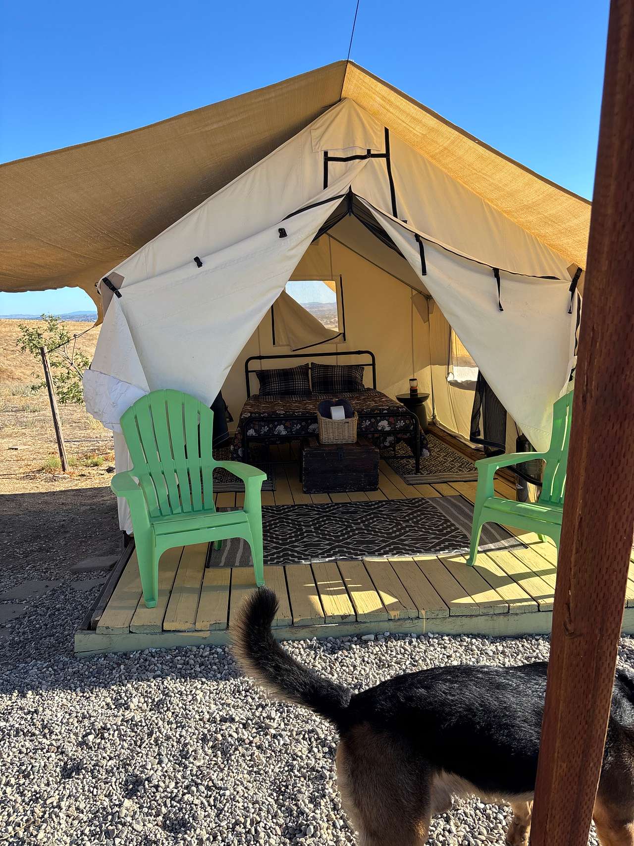 Enney's Ranch