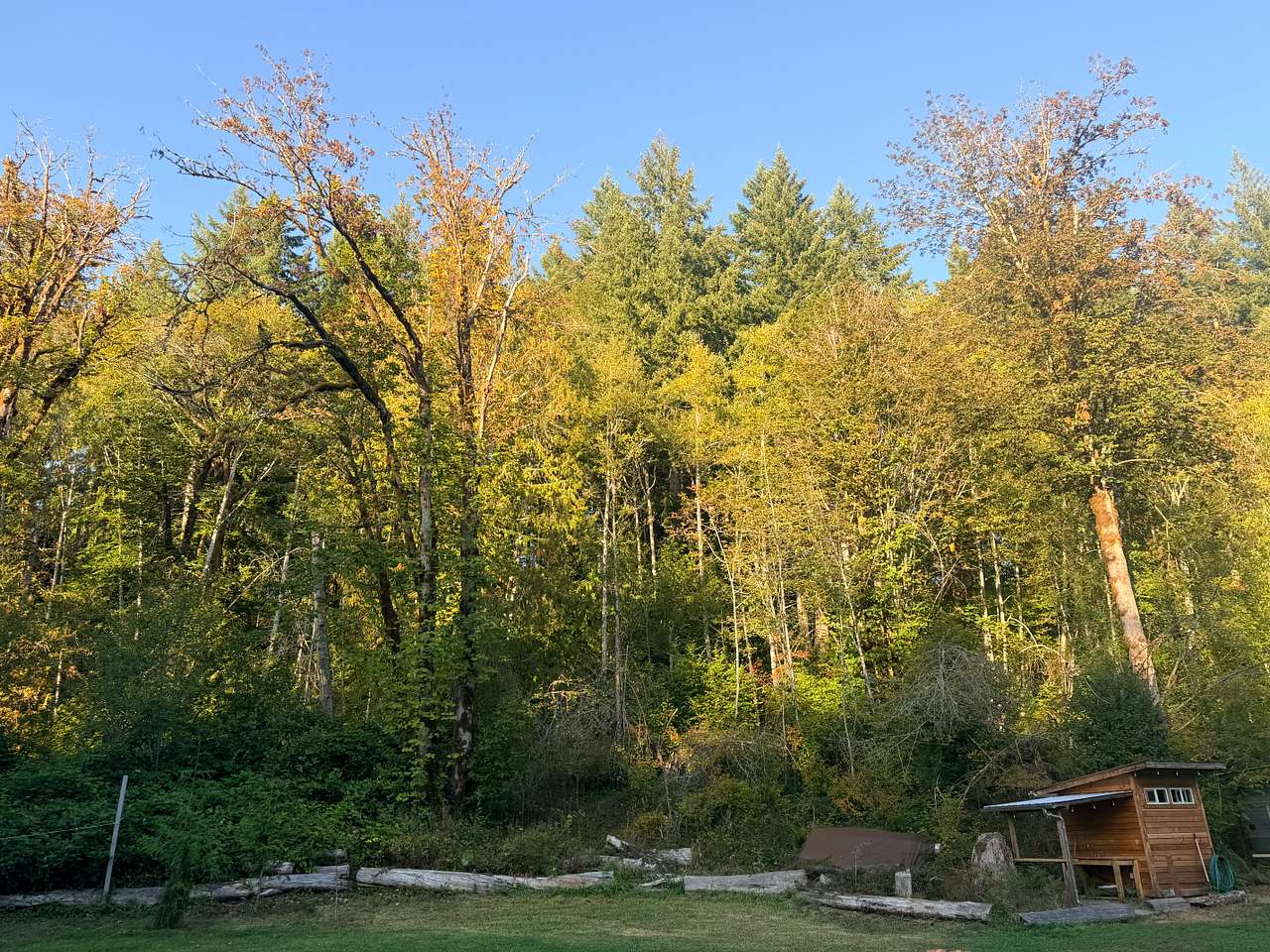 Camp Cushman