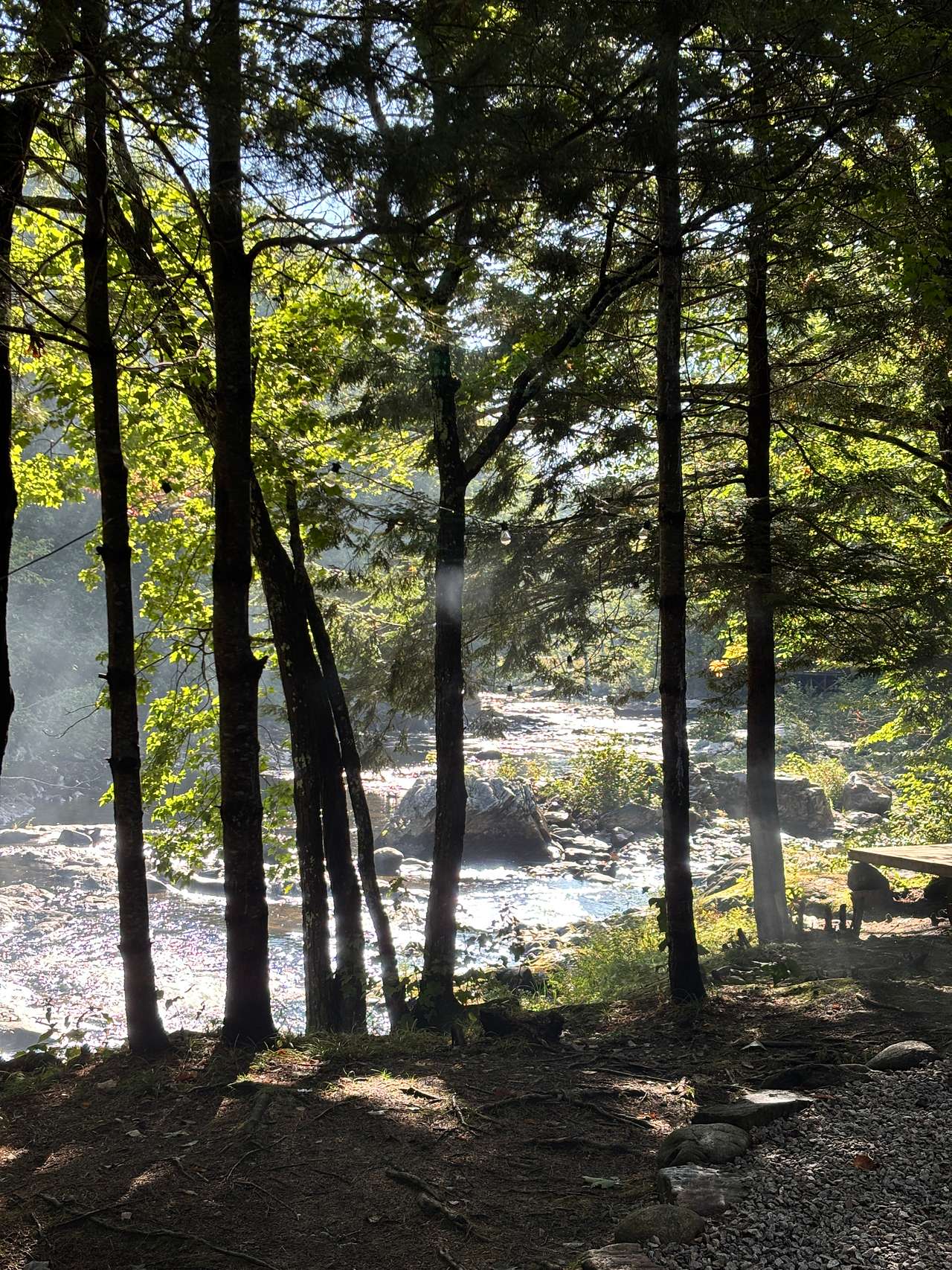 Morning sun