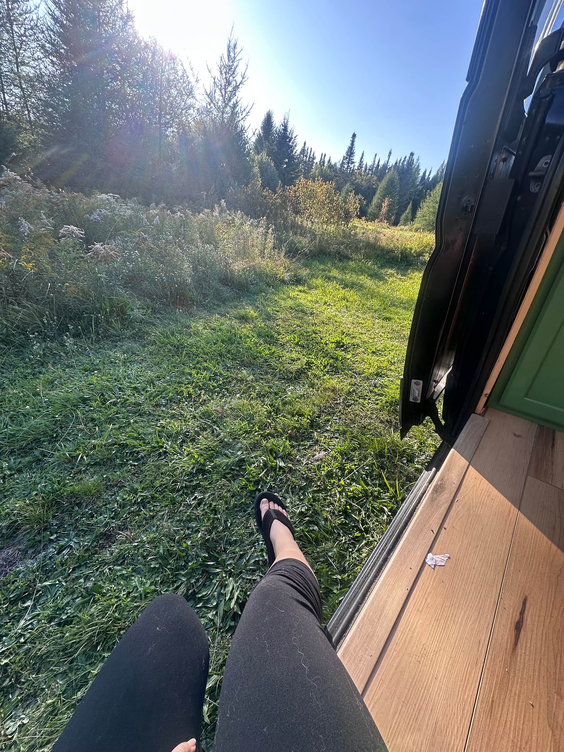 Wandering Pines Camping