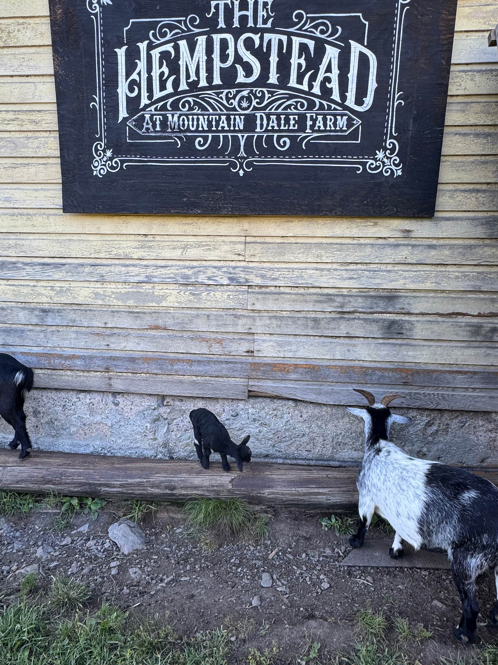 Organic Farm in the Pocono Mts.