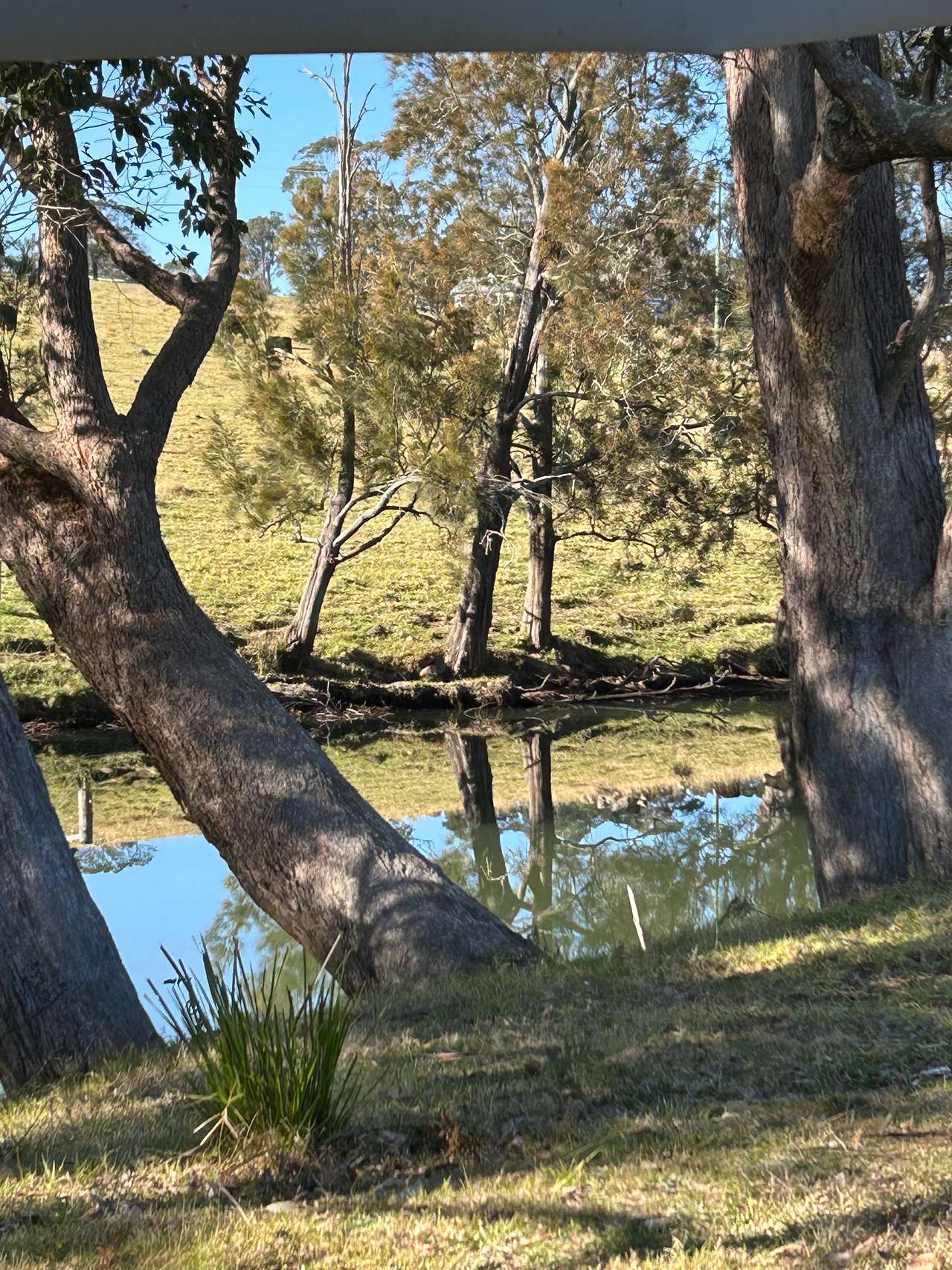 Stony Creek Camping