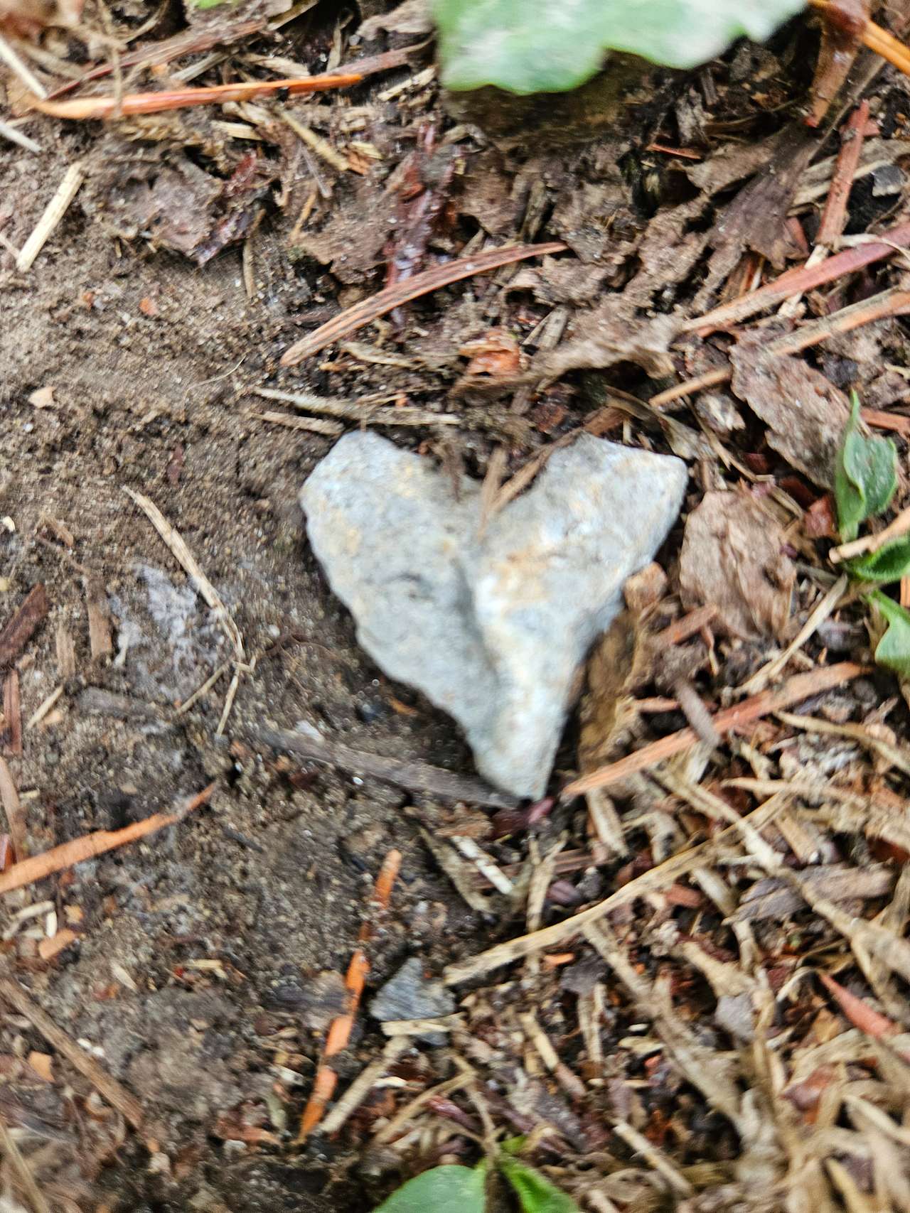 Loving nature here