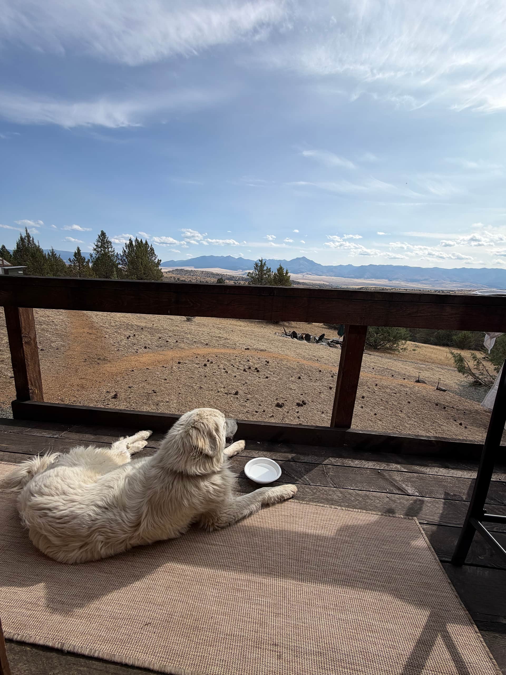Enjoying the view