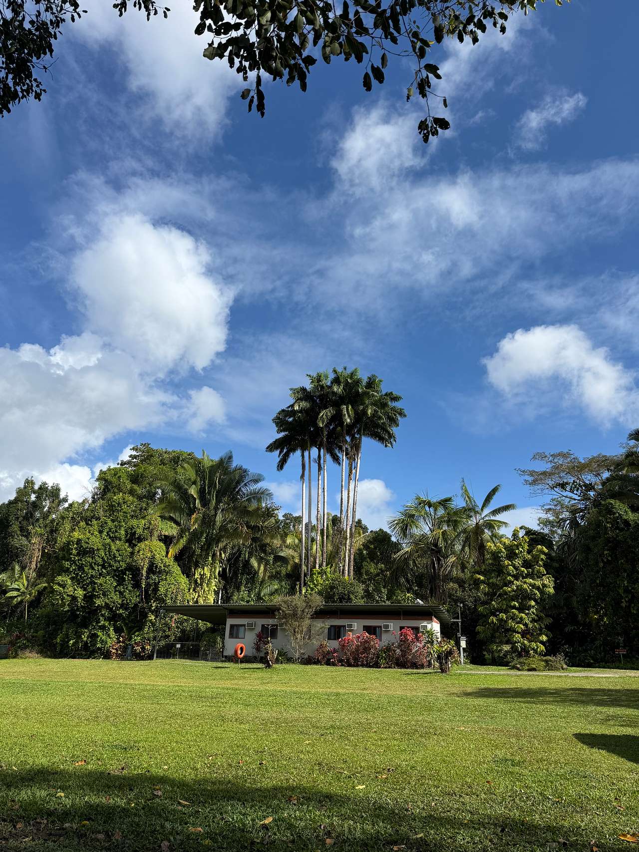 Paradise Camps