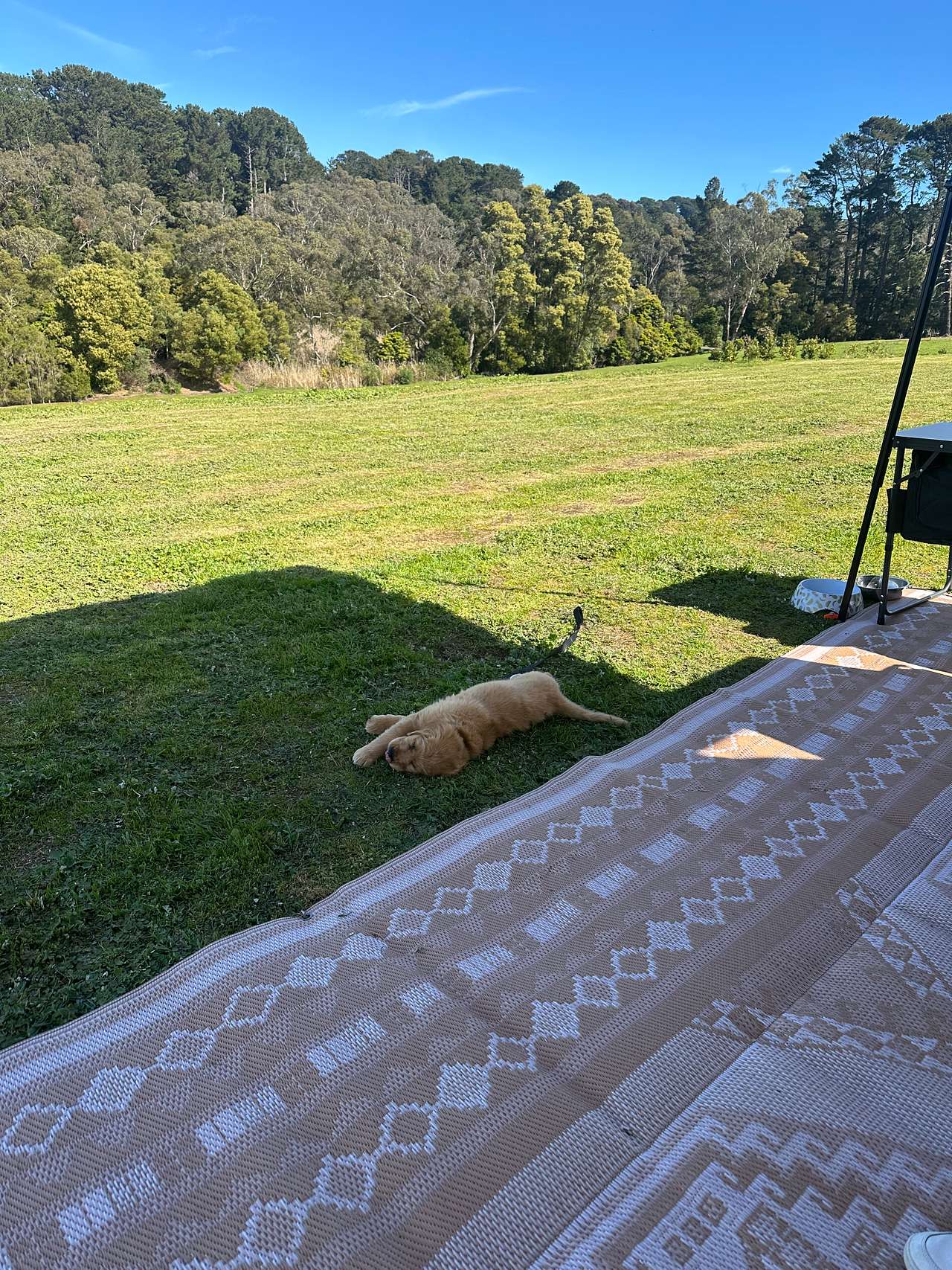 Red Hill Orchard Farm Stay