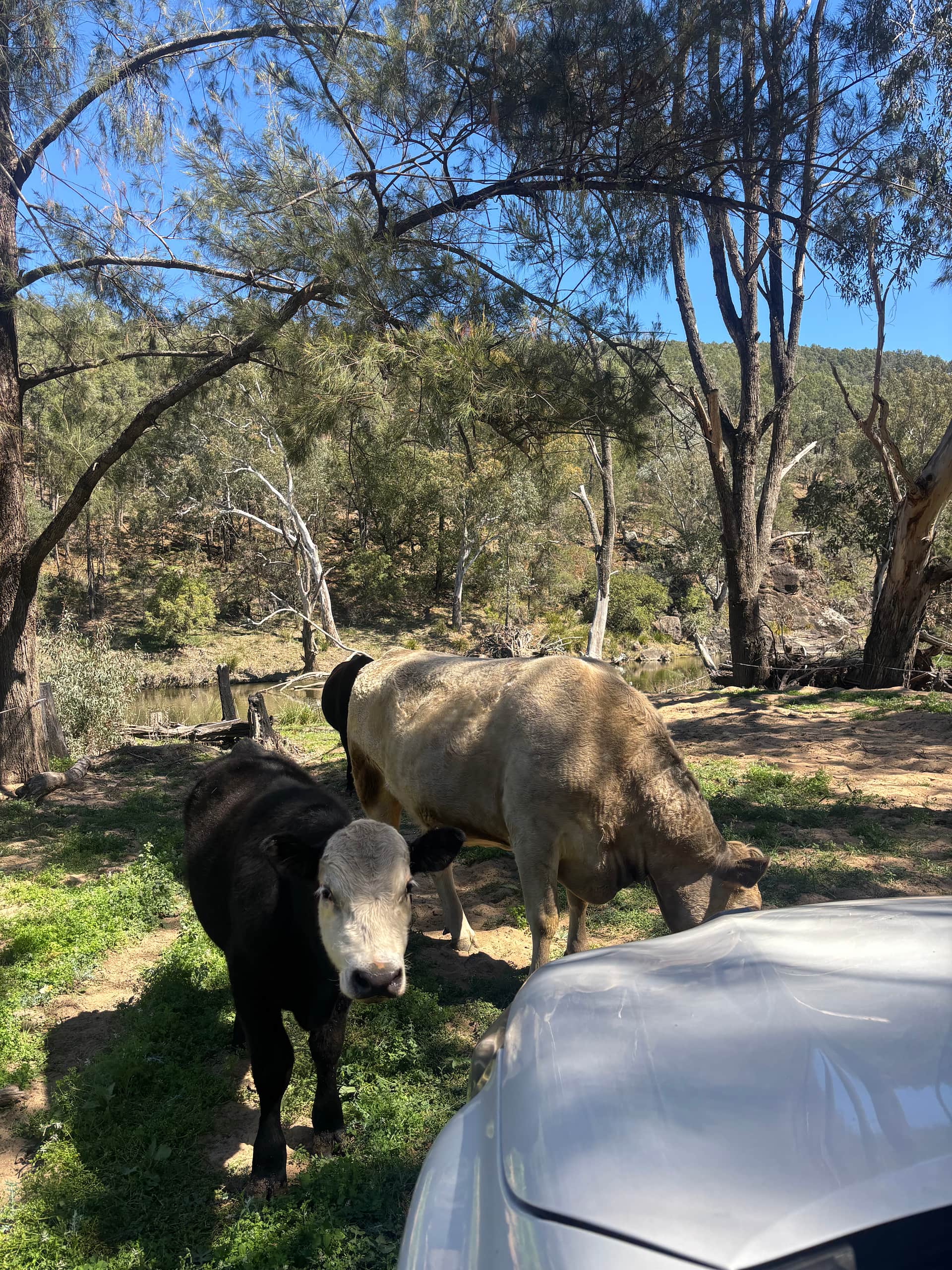 Namoi Valley Escape