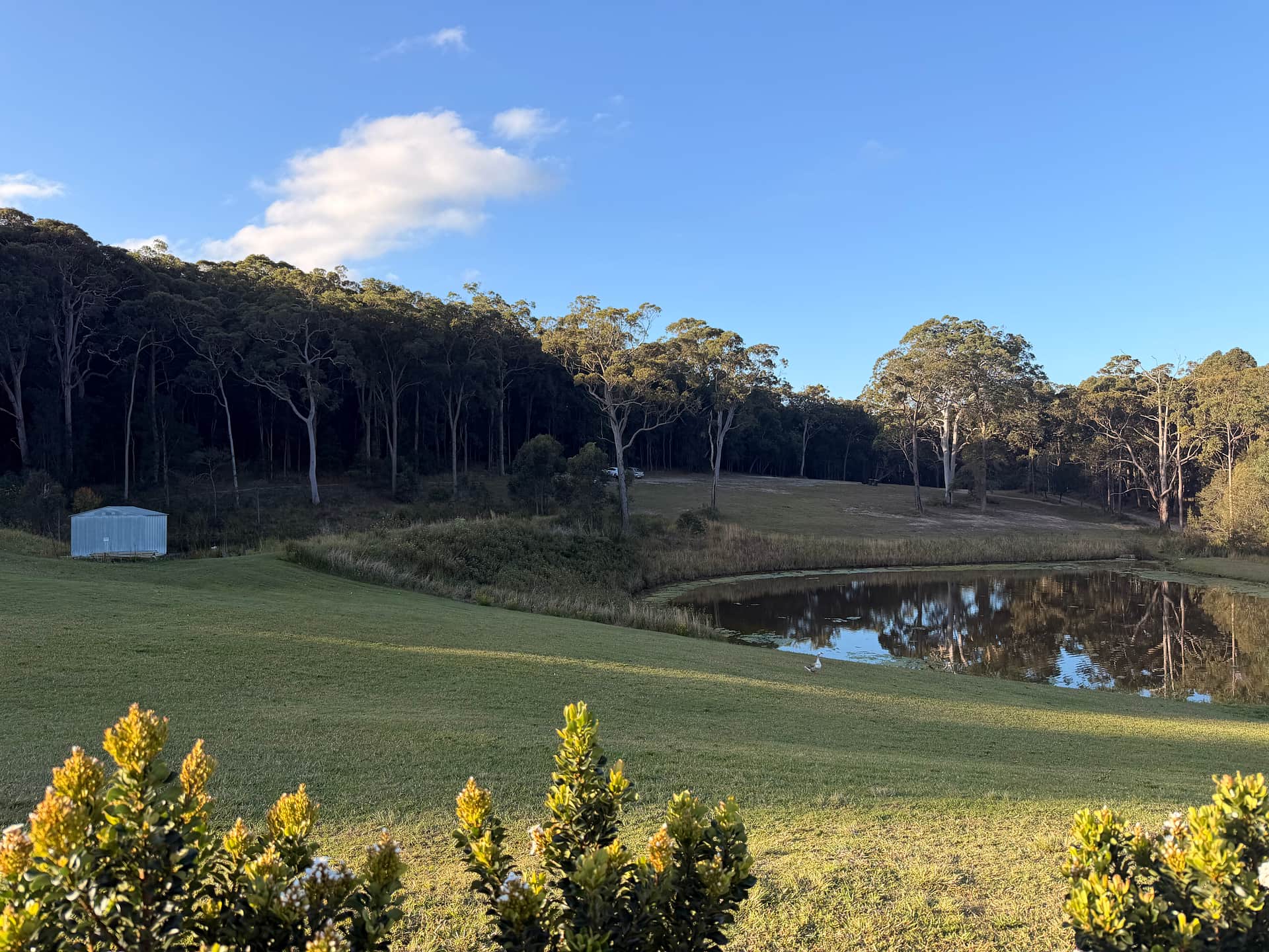 Mt Nellinda Campsite