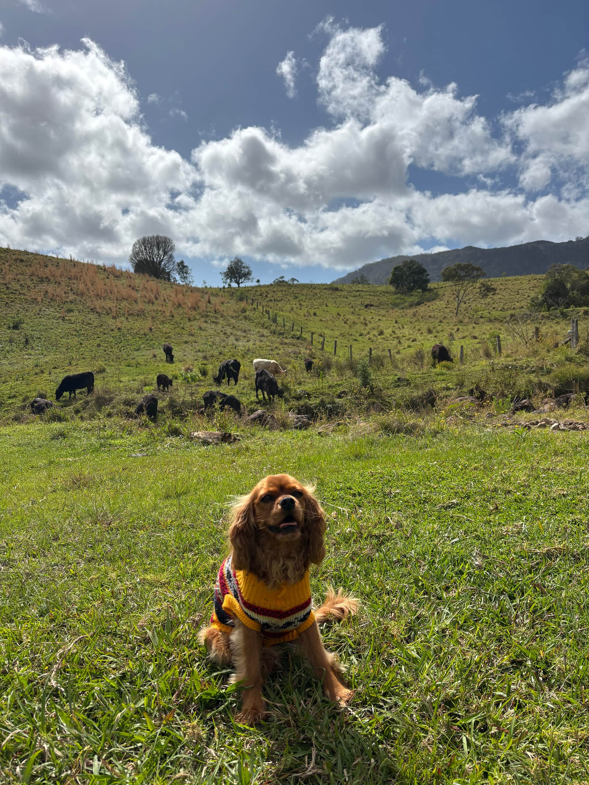Caldera Creek Farm