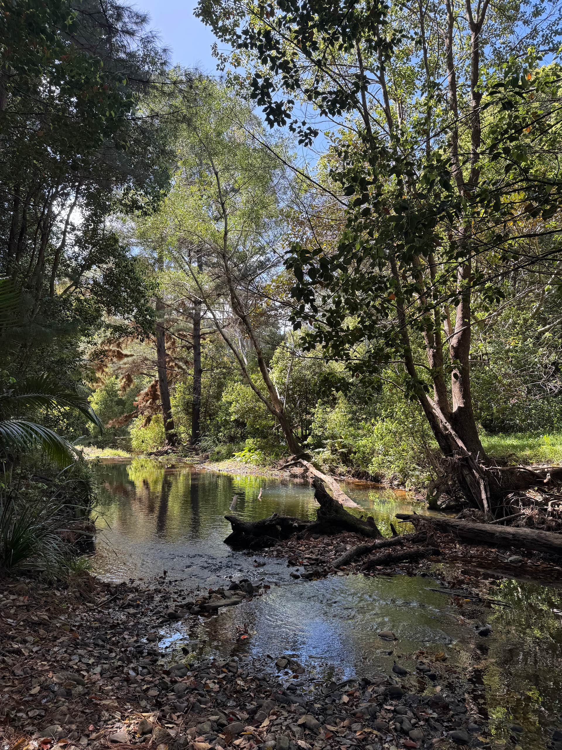 The Secret Place