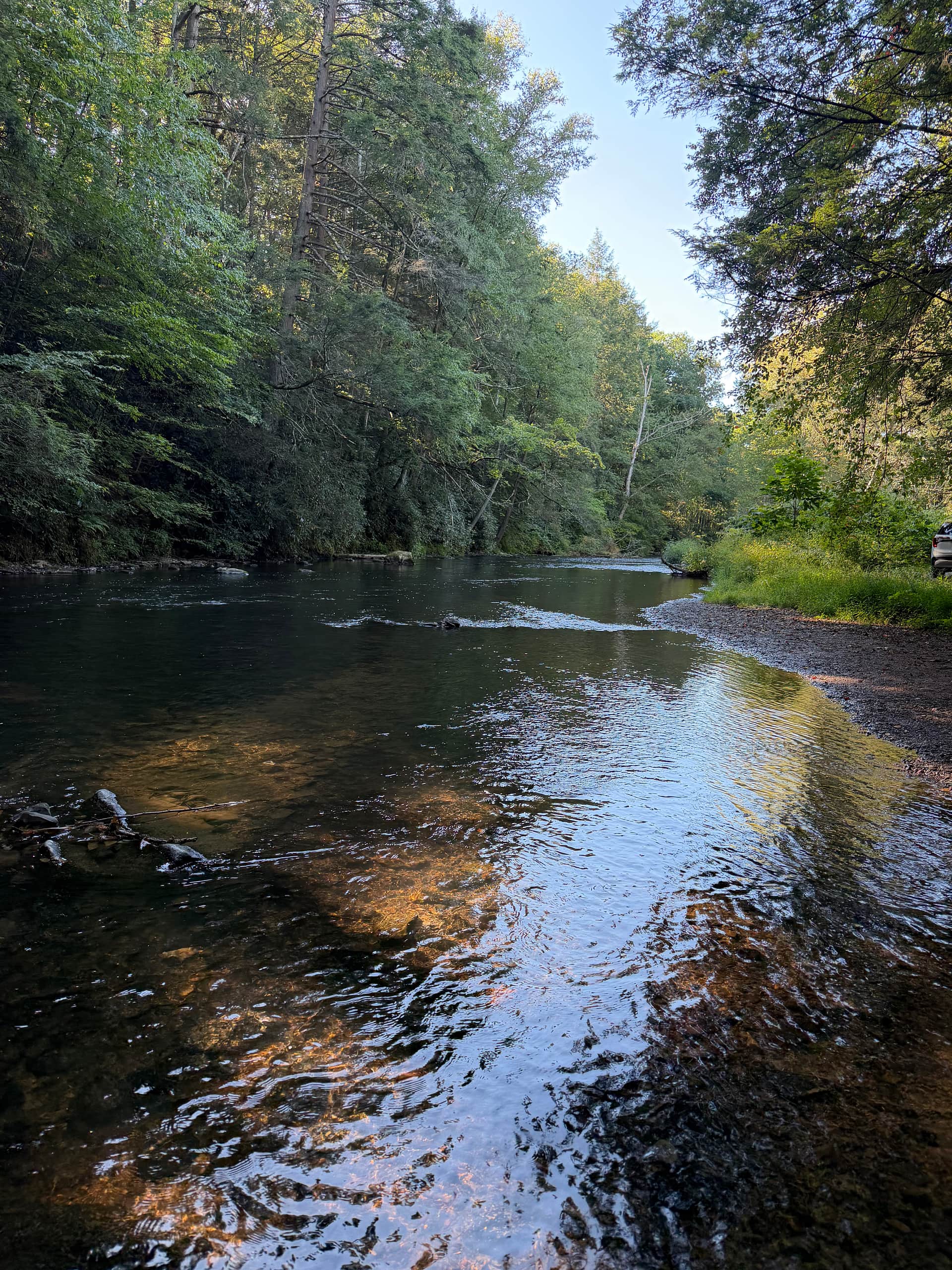 Streamside Acres