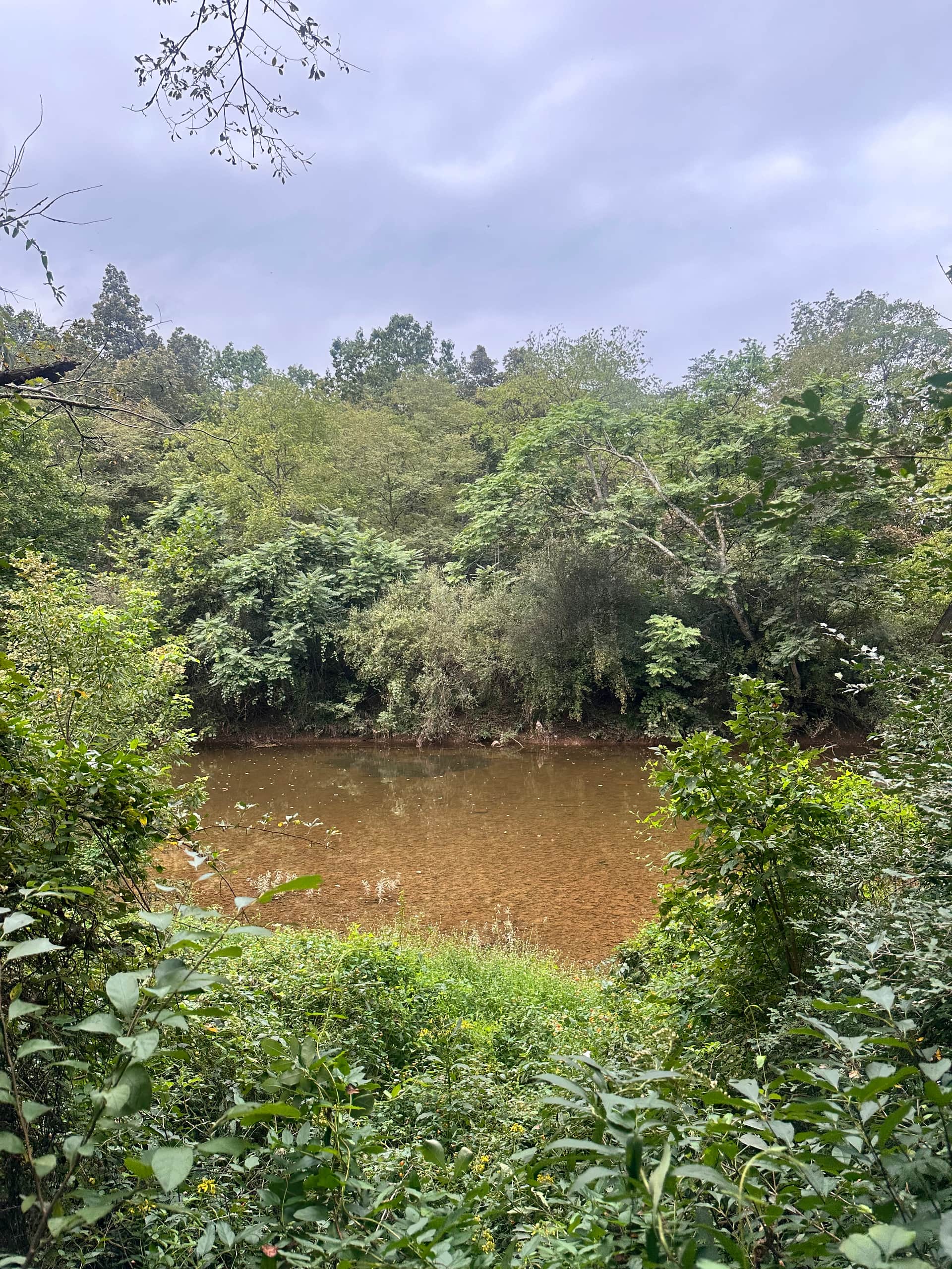 River view from tent site