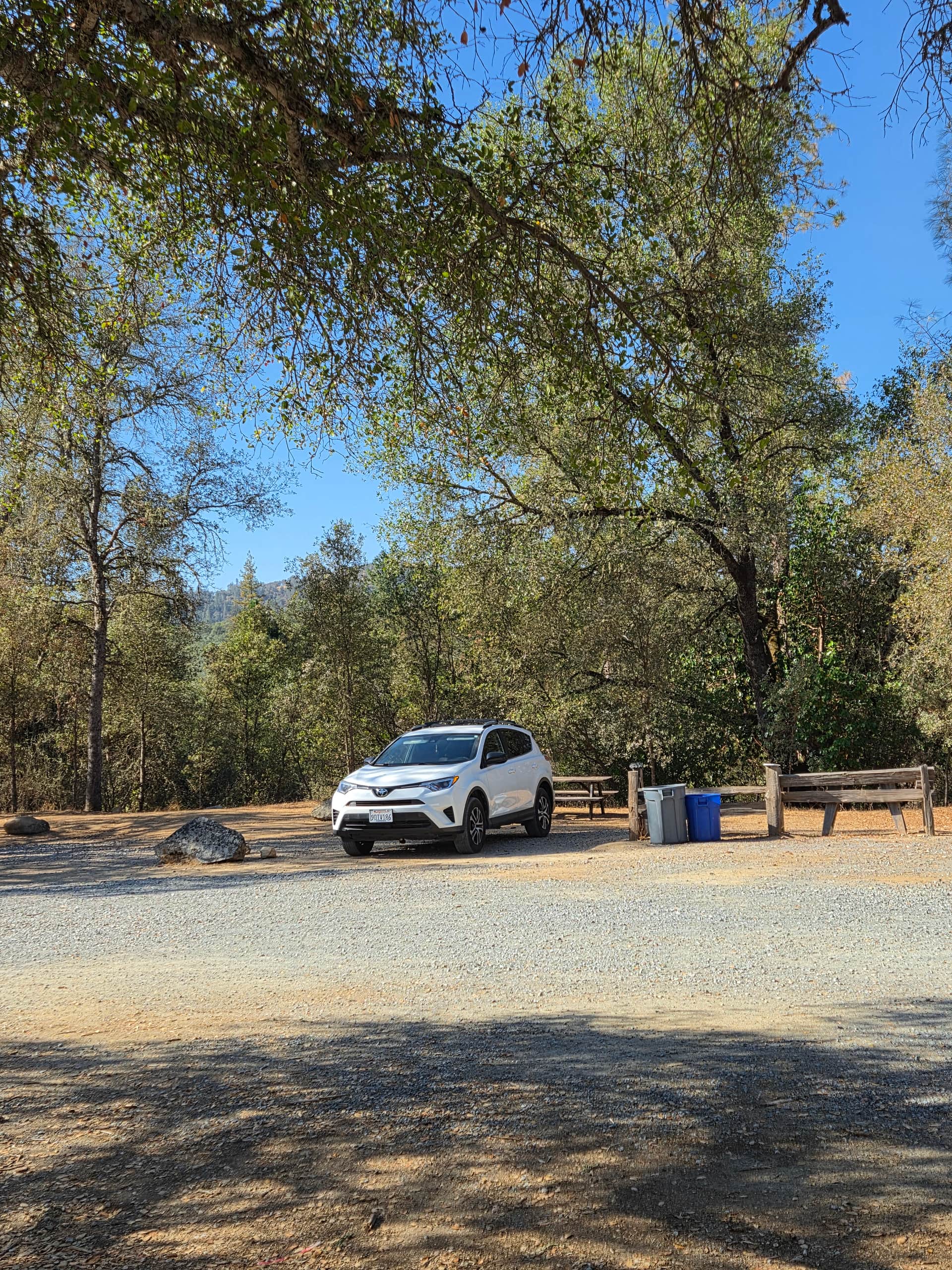 View of site 3, under a large oak