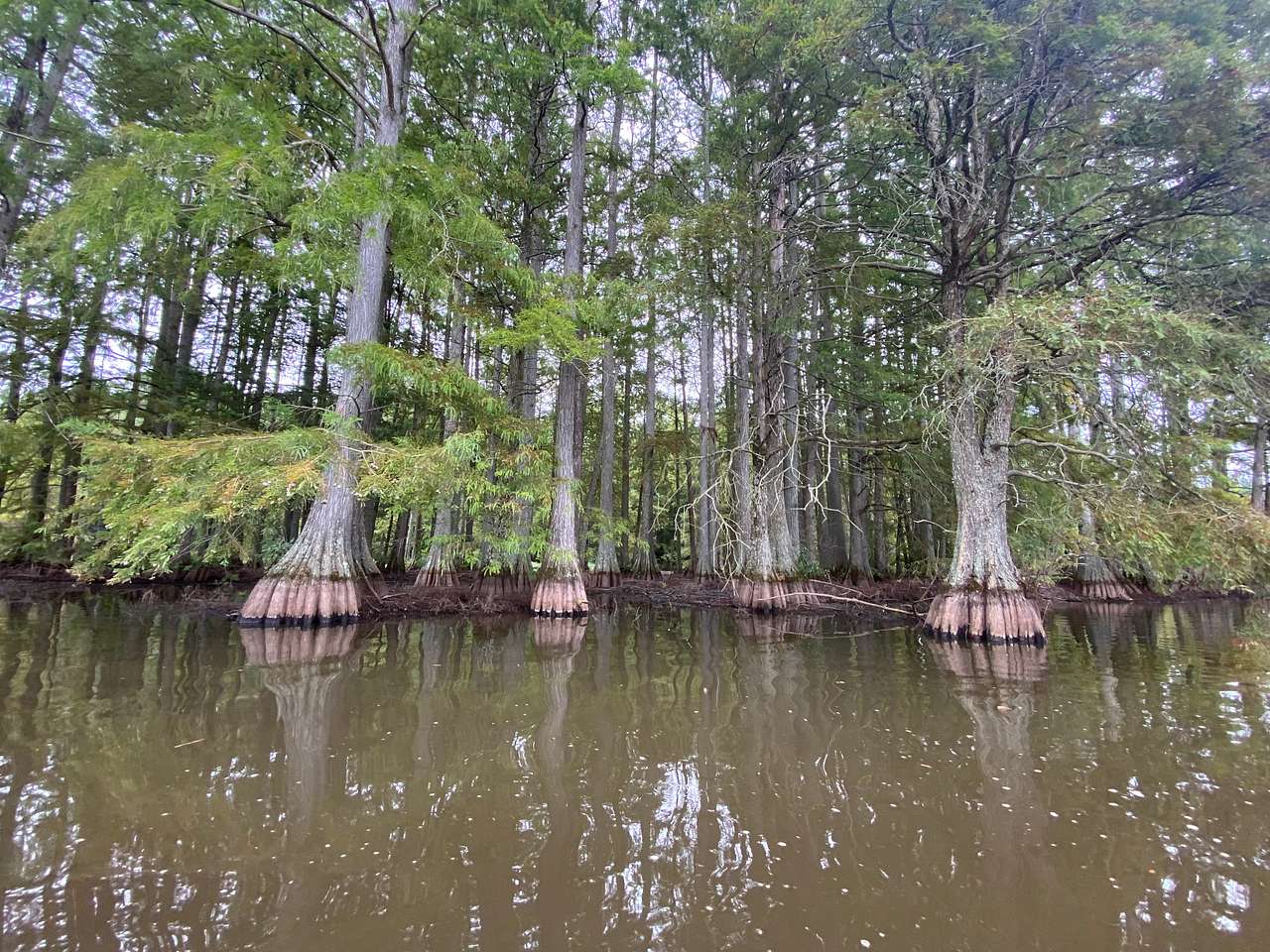 Trap pond!