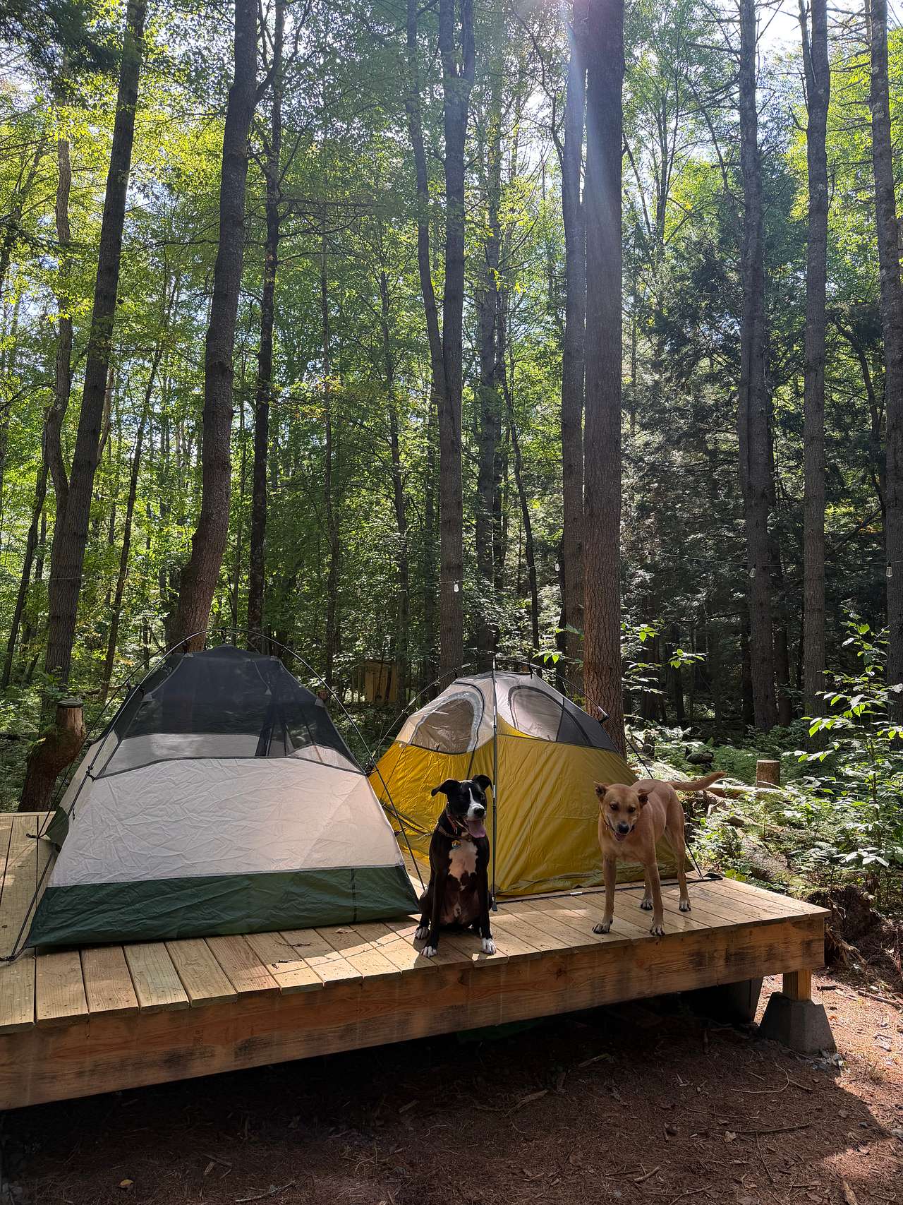 Mags Mountain