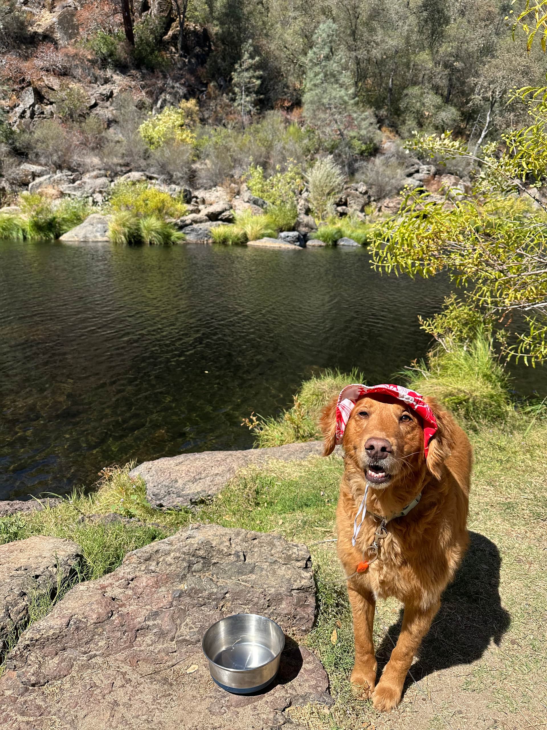 Cosumnes River Ranch