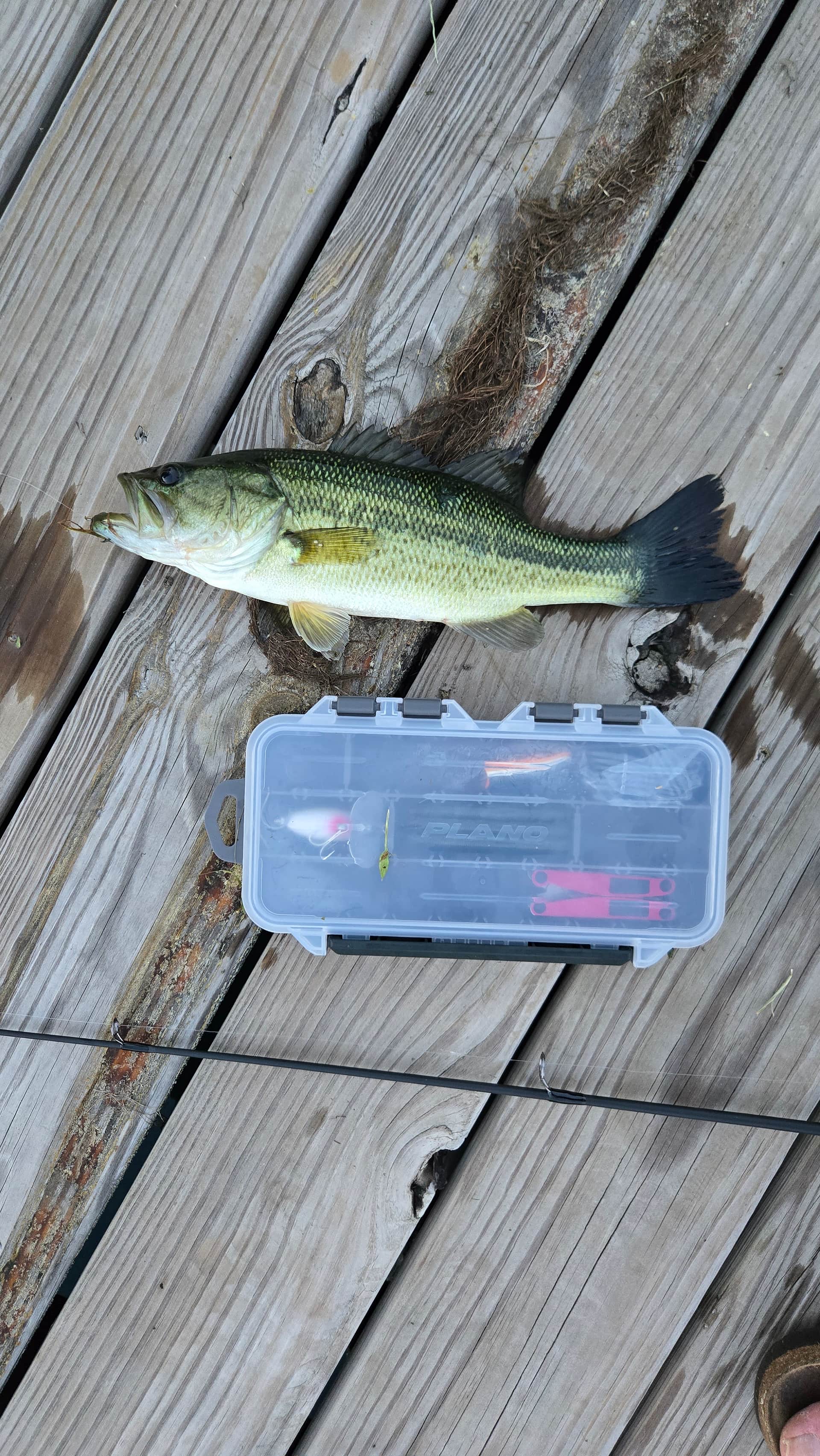 A little fishing fun.